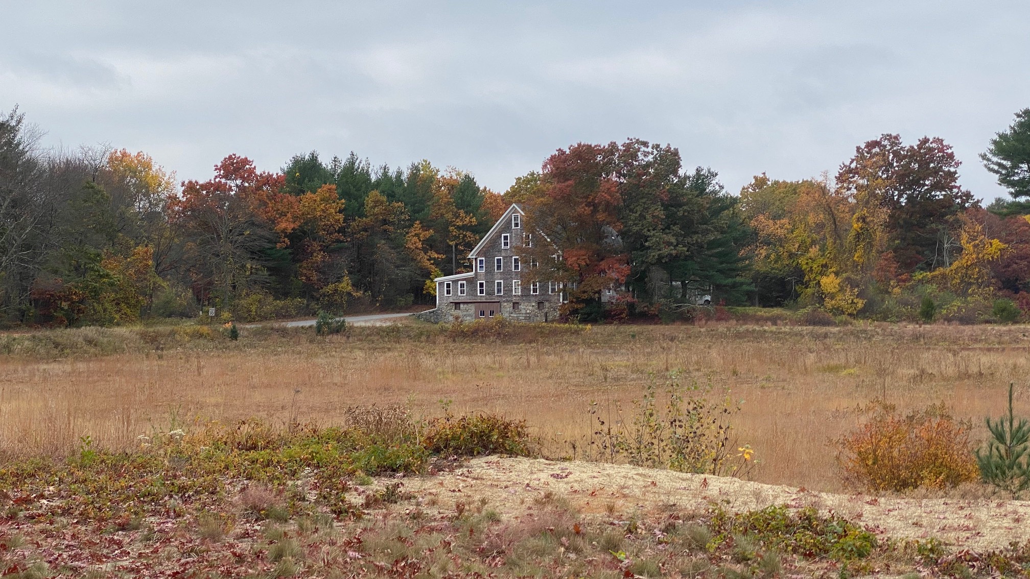 The House of a Million Windows