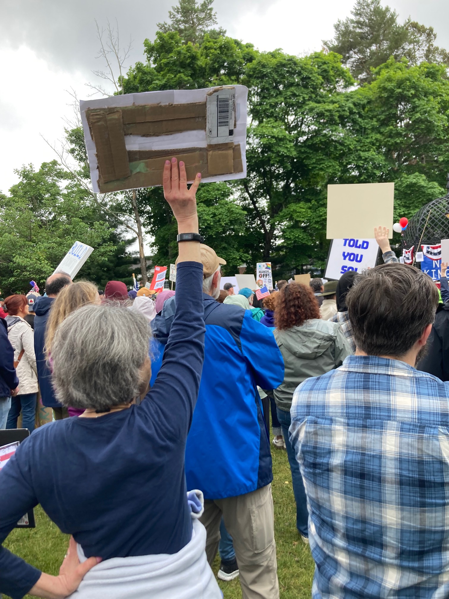 Protestors