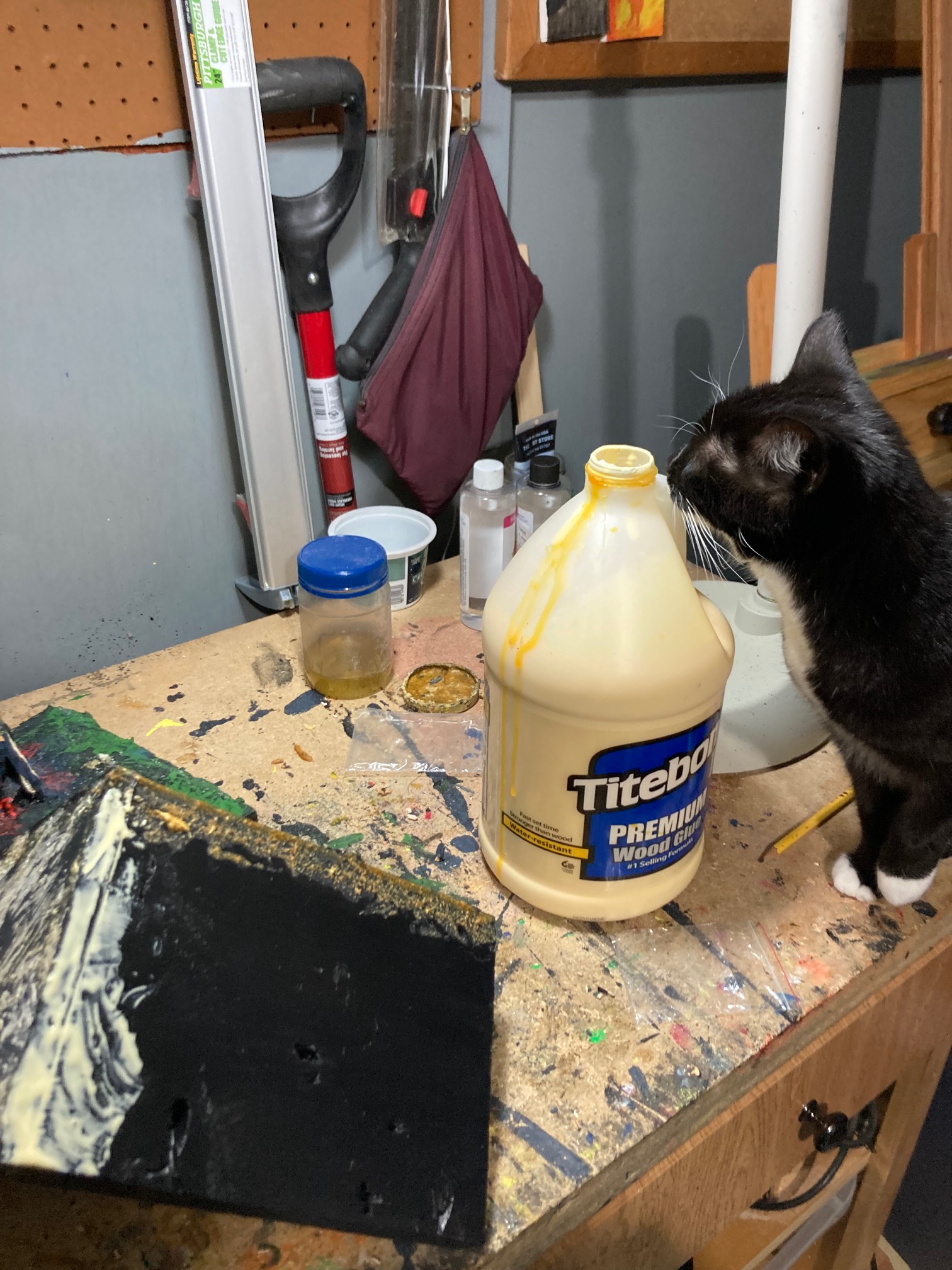 The glue sniffer has logged on.