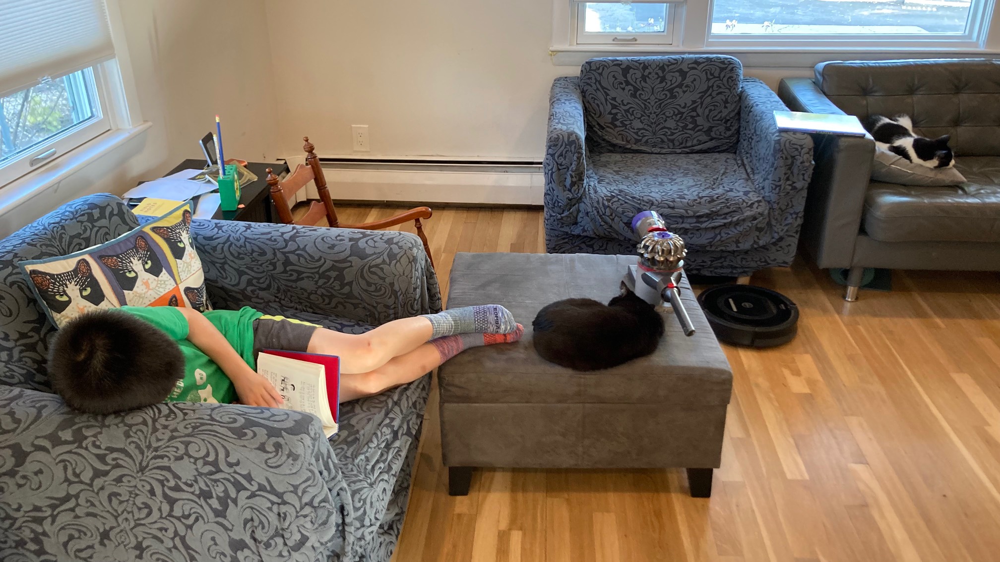 Kid, cats, robots at rest
