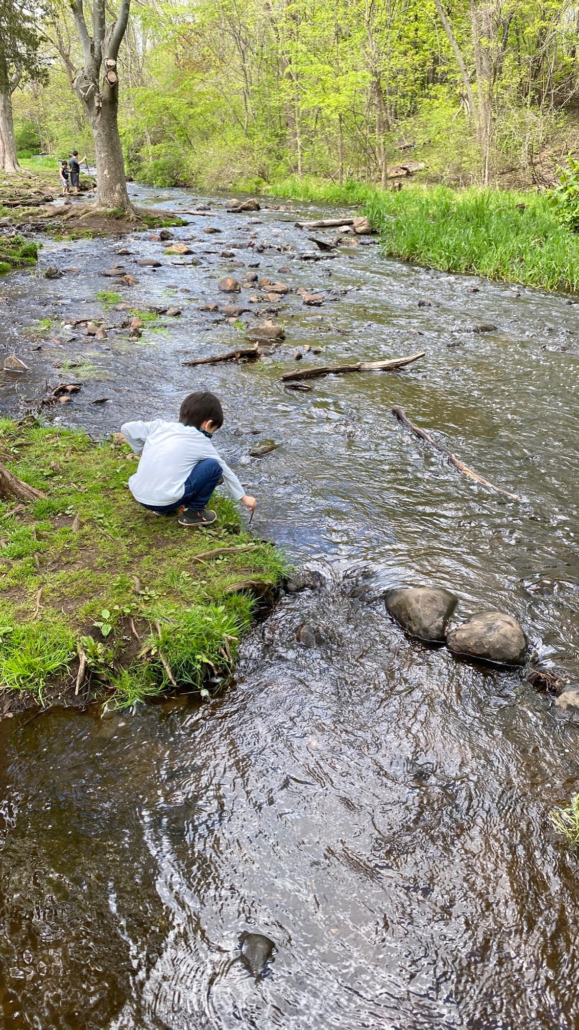 This week’s resisted-but-eventually enjoyed reservation: Beaver Brook