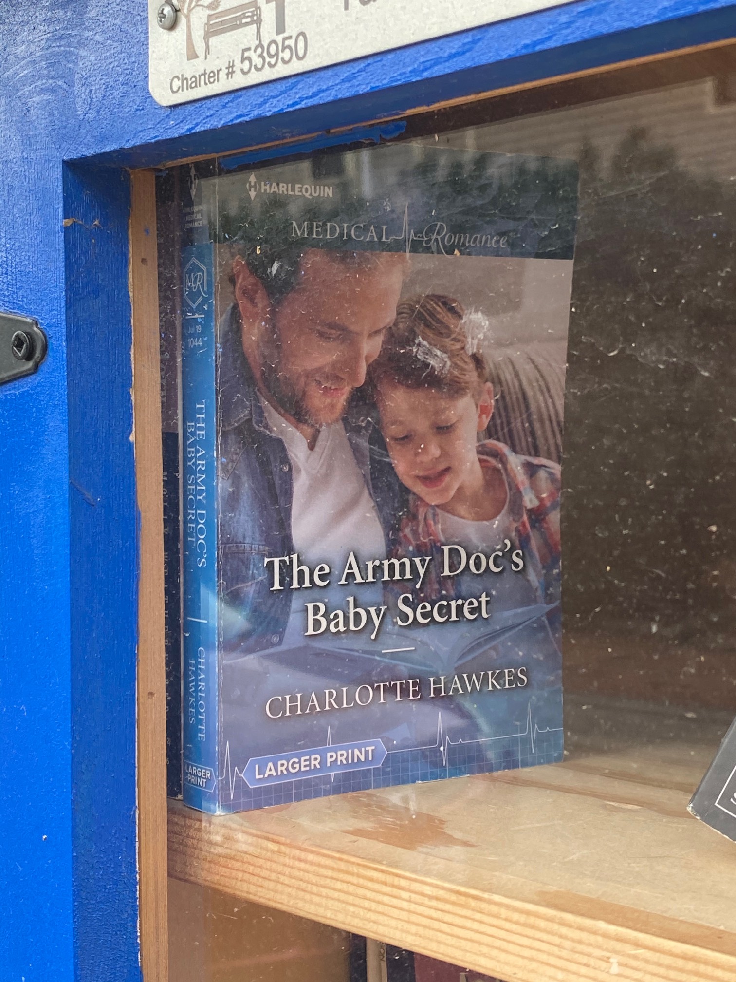 Harlequin takes market segmentation very seriously.