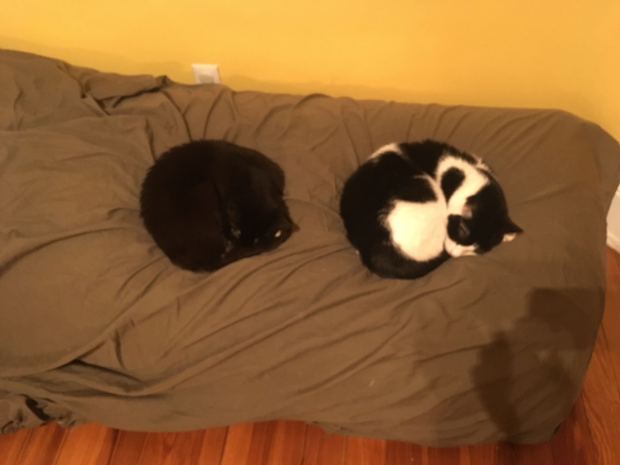 Synchronized!
