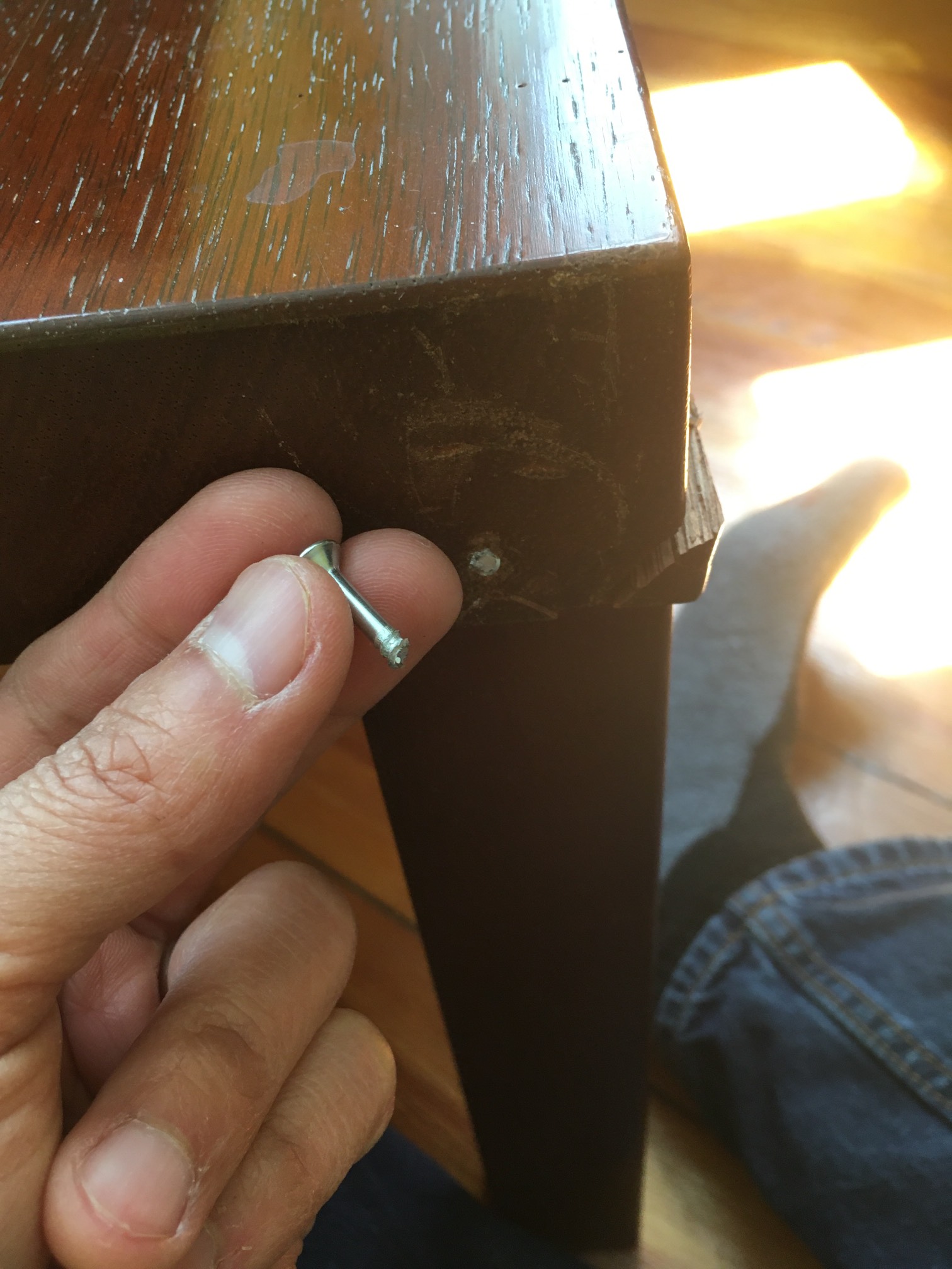 Dag, I snapped a screw. Who knew that could happen?
