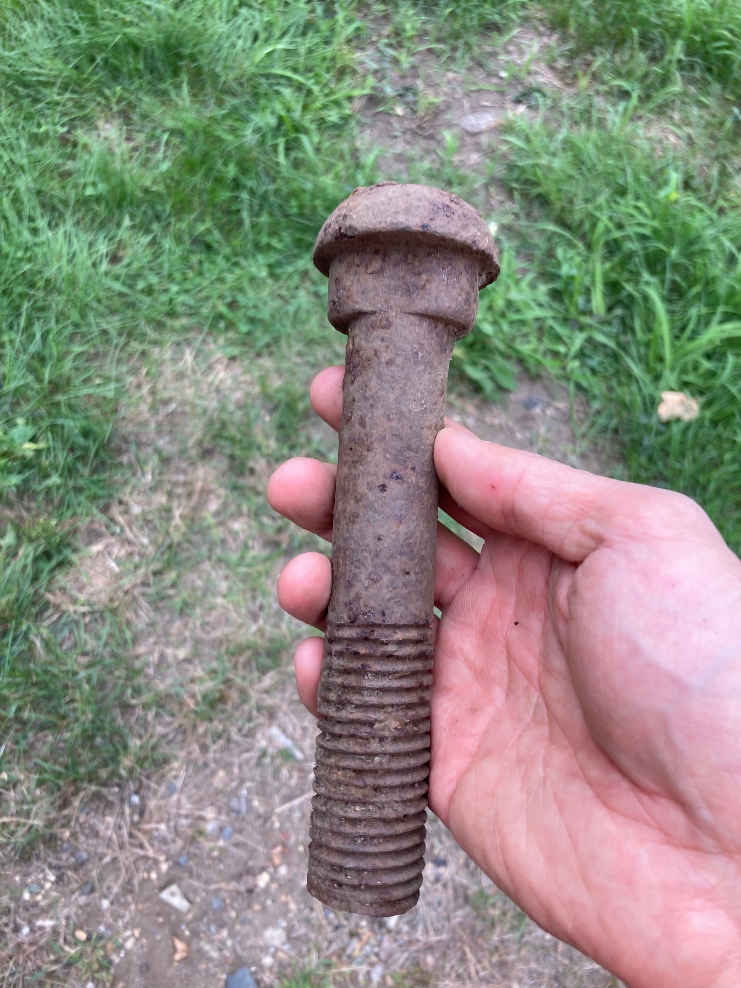 Wasteland discover #1 today. 