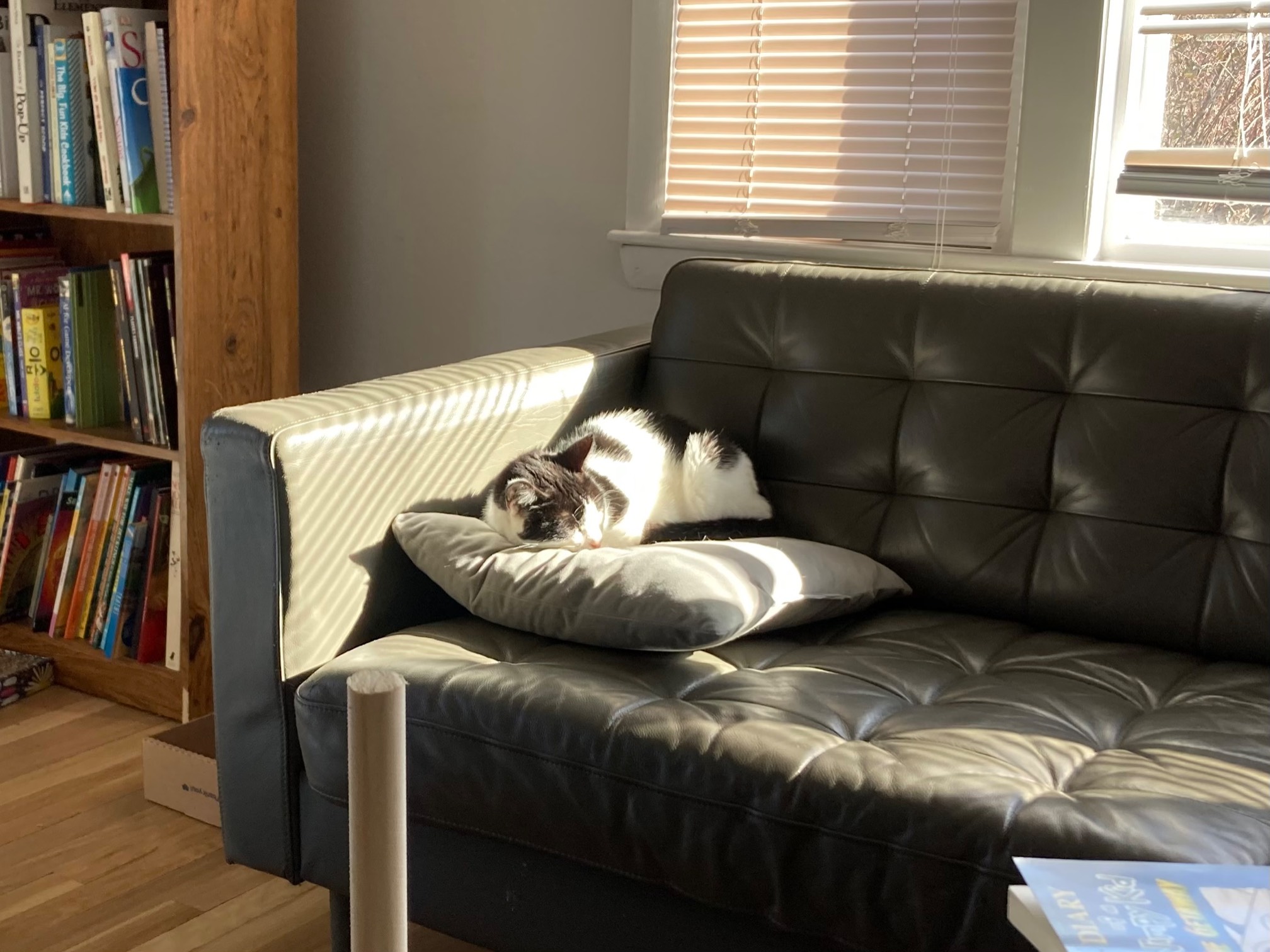 Maximum sun enjoyment