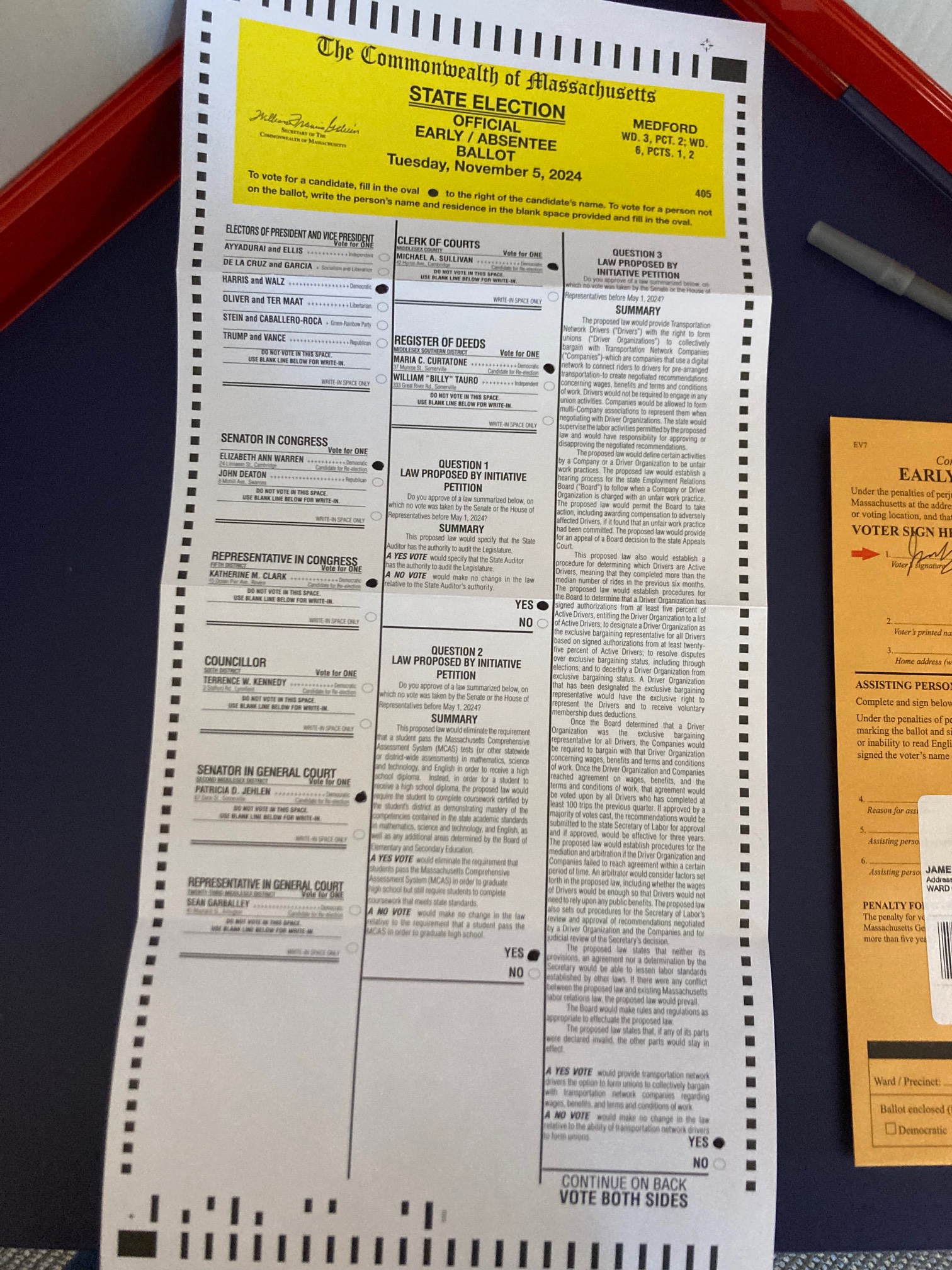 Voting ballot