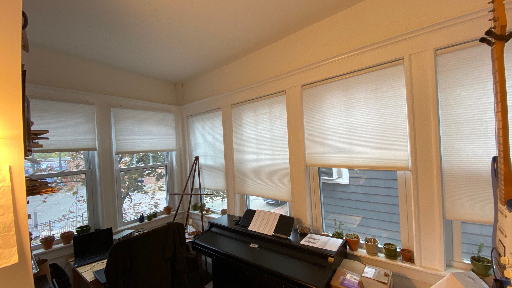 All the blinds are up now. Blinds blinds blinds