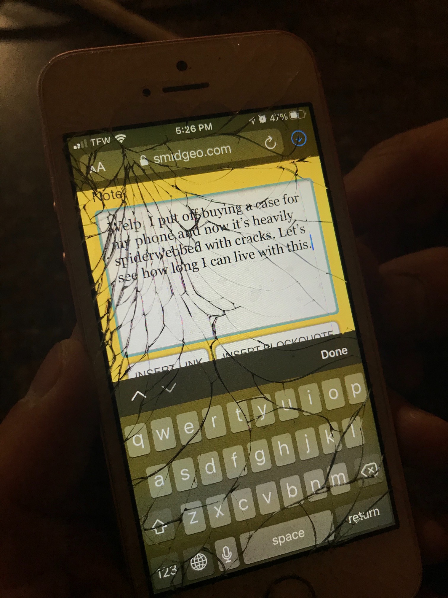 Welp, I put off buying a case for my phone and now it’s heavily spiderwebbed with cracks. Let’s see 