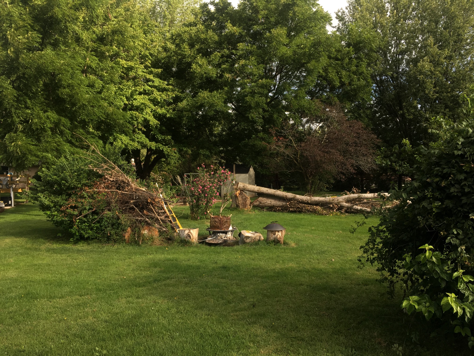 Having a large backyard with a yard waste mess sometimes does seem appealing, somehow.