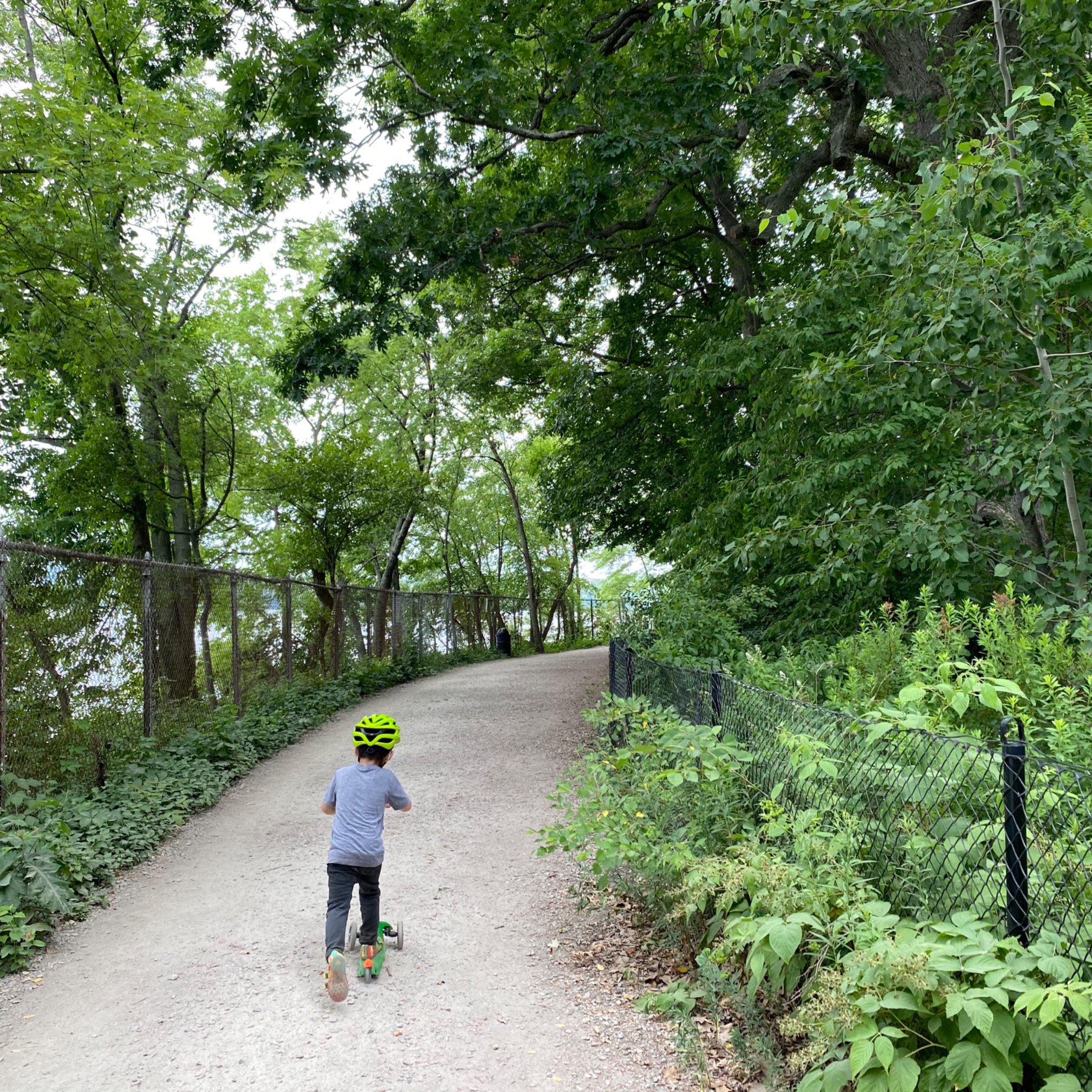We went out to the pond today, and then scooter around the library and picked up some pizza. It was 
