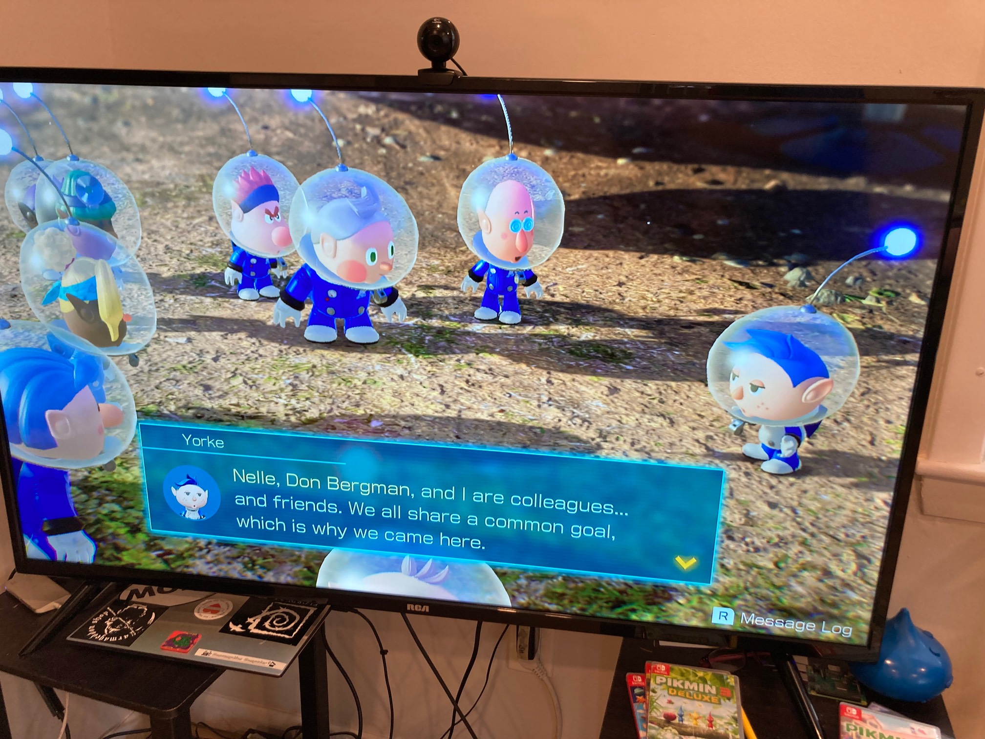 There’s an NPC in Pikmin named Don Bergman.