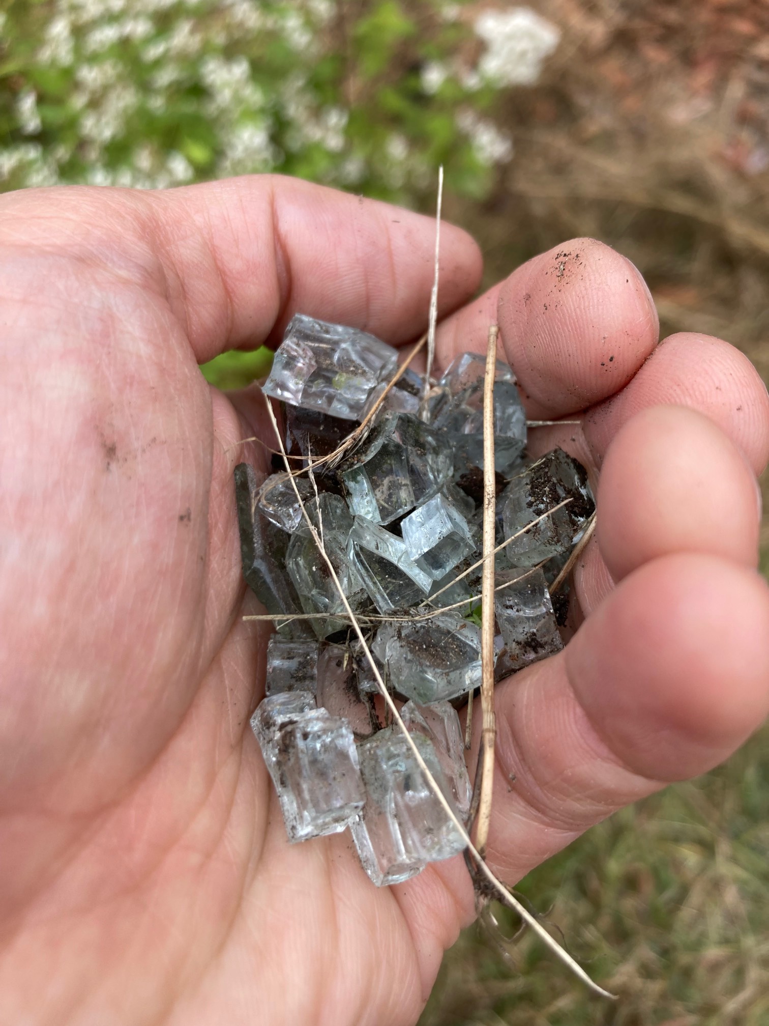 The broken glass I collected from the lawn today.