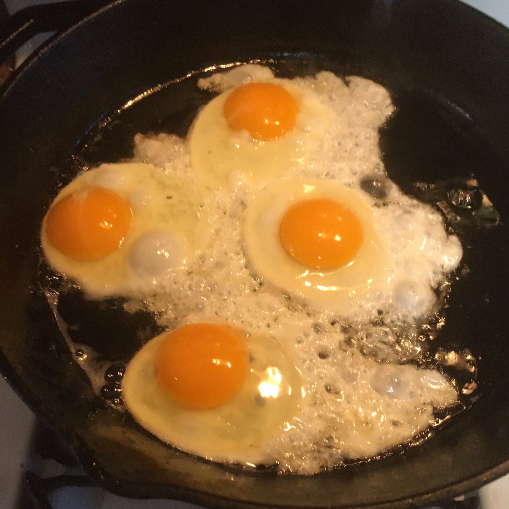 Pretty excited about super fresh eggs.