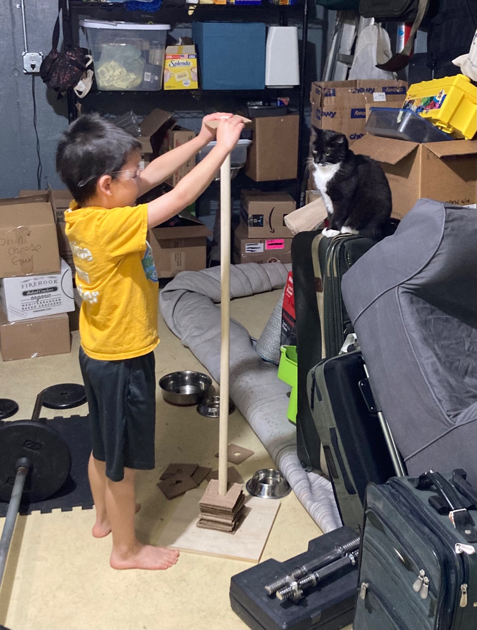 The Cat Castles book implies that this cat scratcher project is easy. The platform and dowel part is