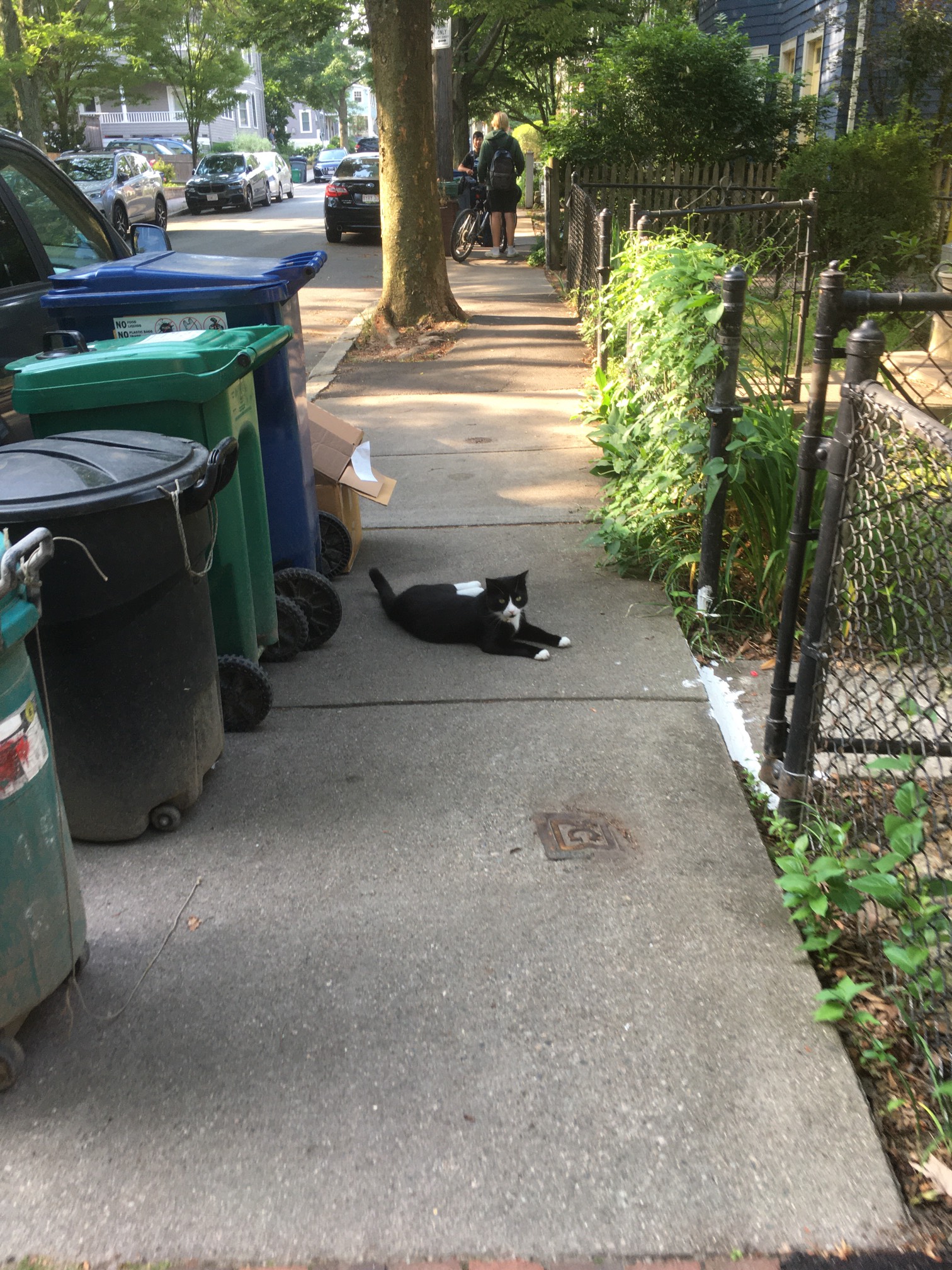 We rolled a random encounter this morning.