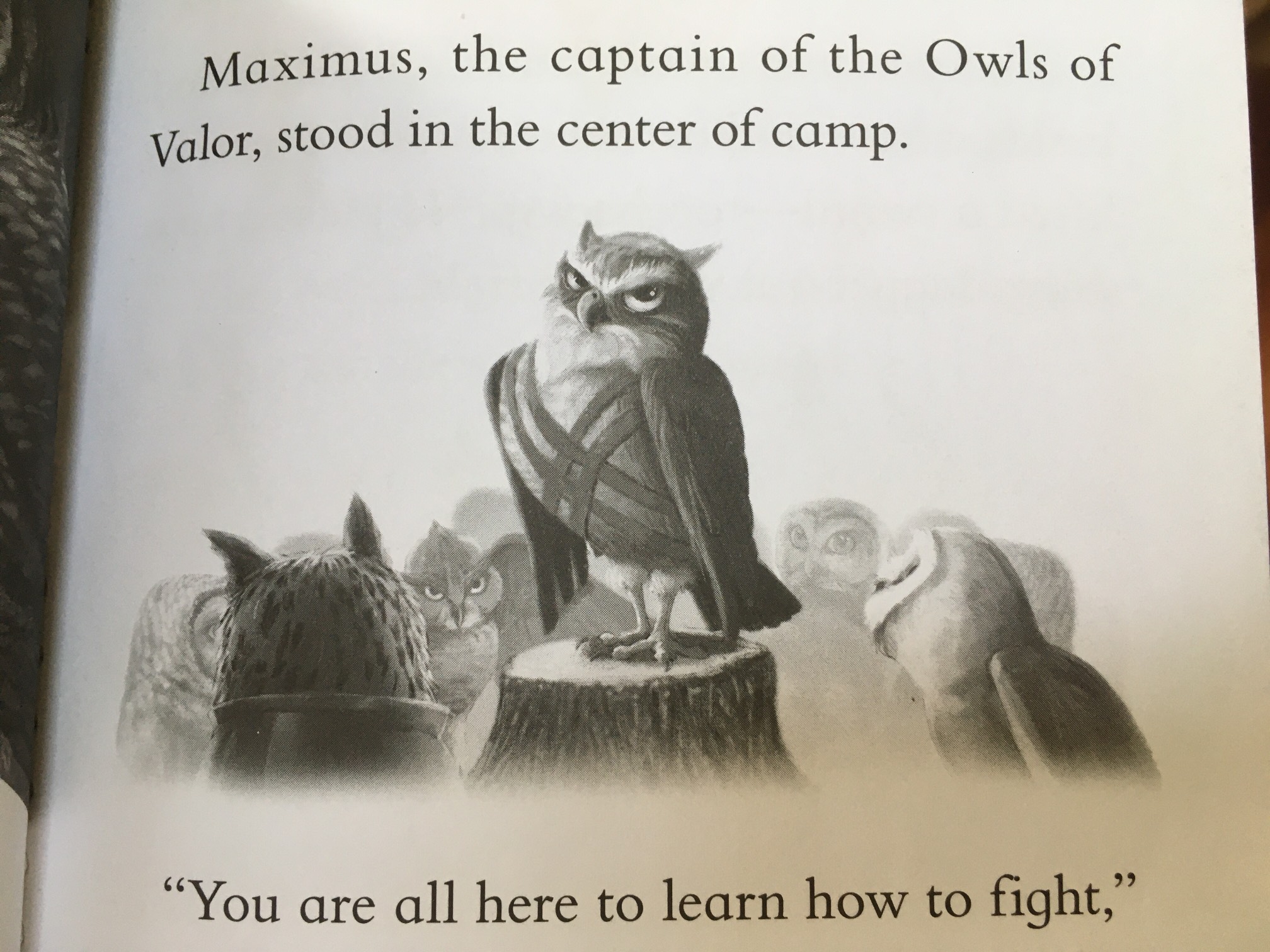 Kids’ books, man.