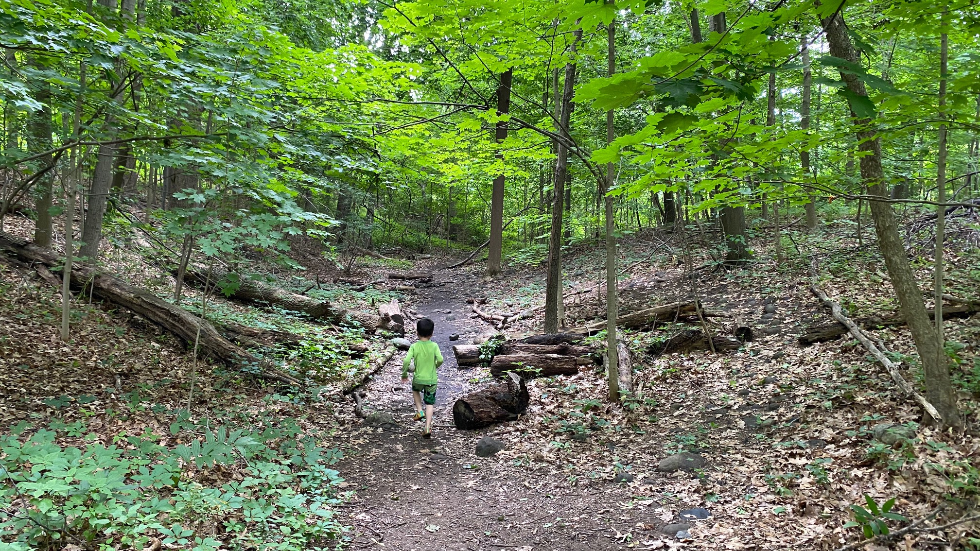 Woods walk Wednesday 