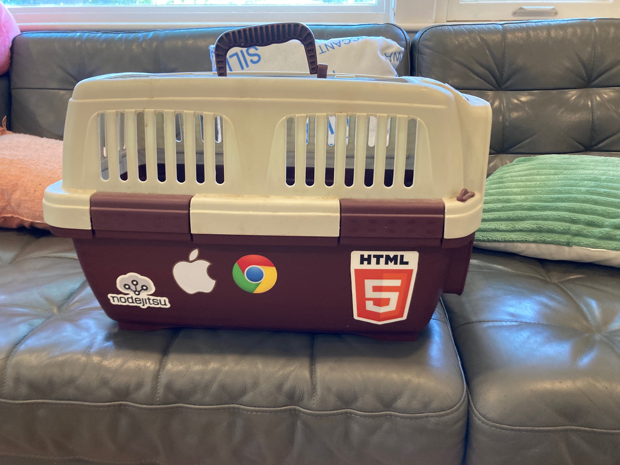 Cat carrier with stickers