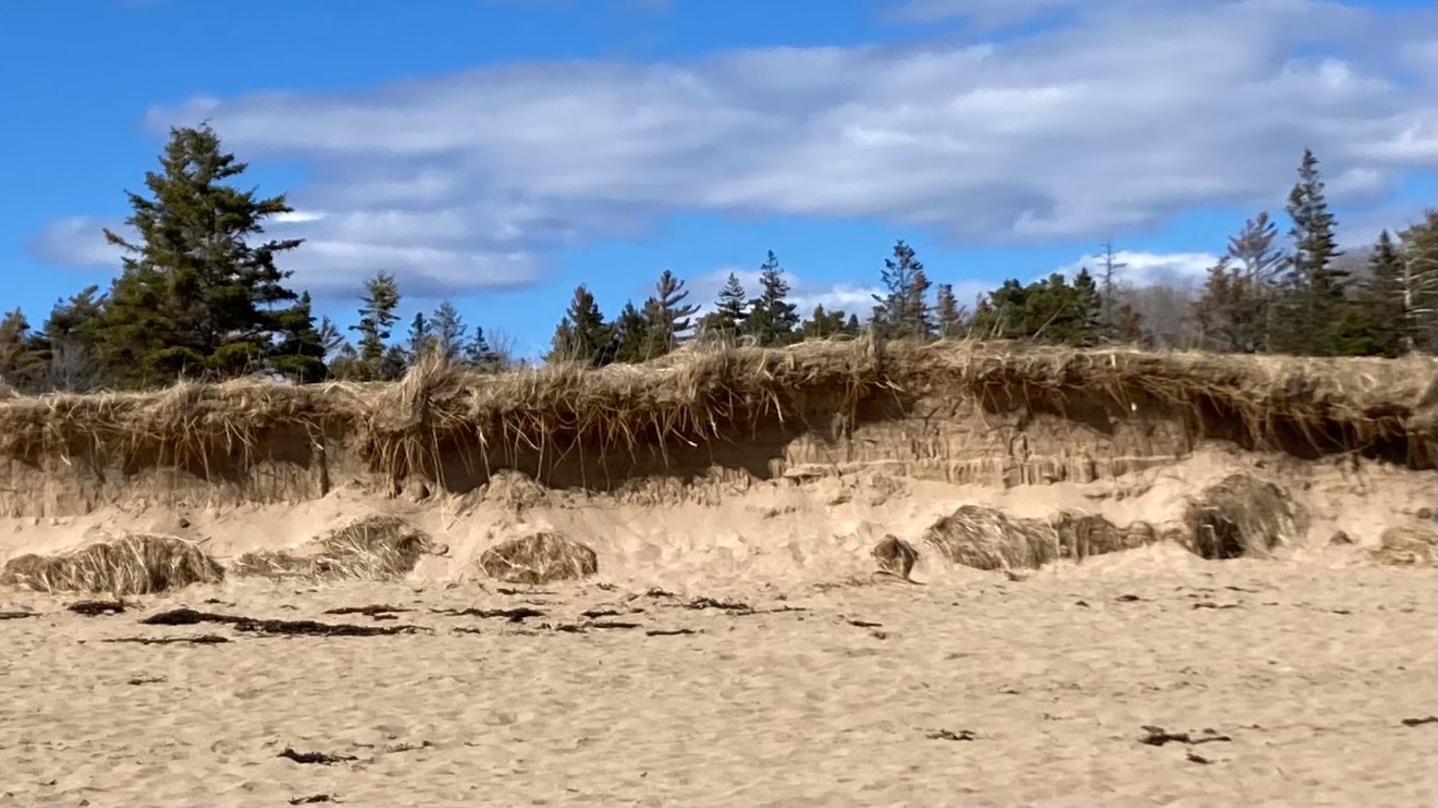 These little sand cliffs were cool.