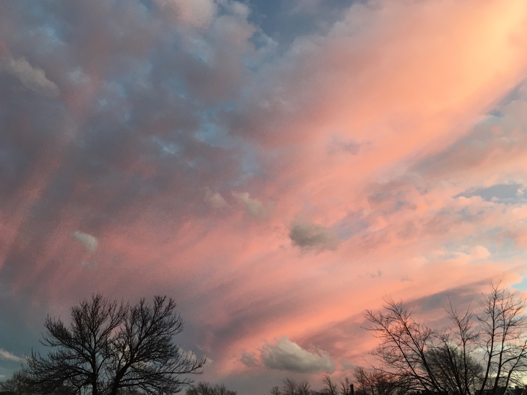 The sky is very fantastic this sunset. Glad I got outside today.