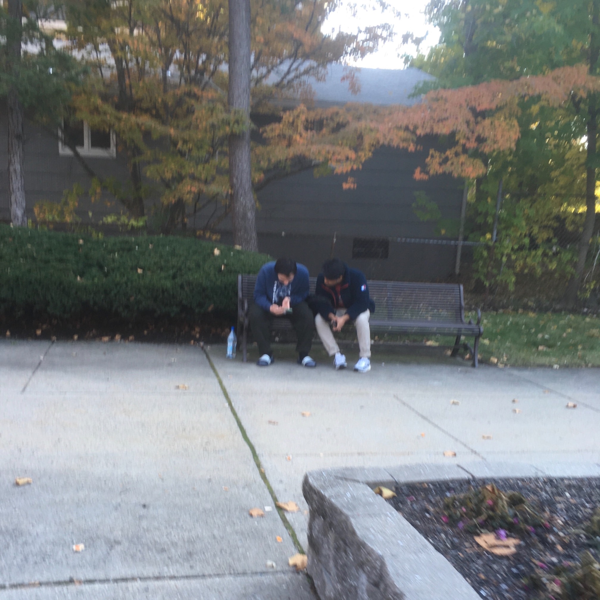 Some guys checking out a phone.