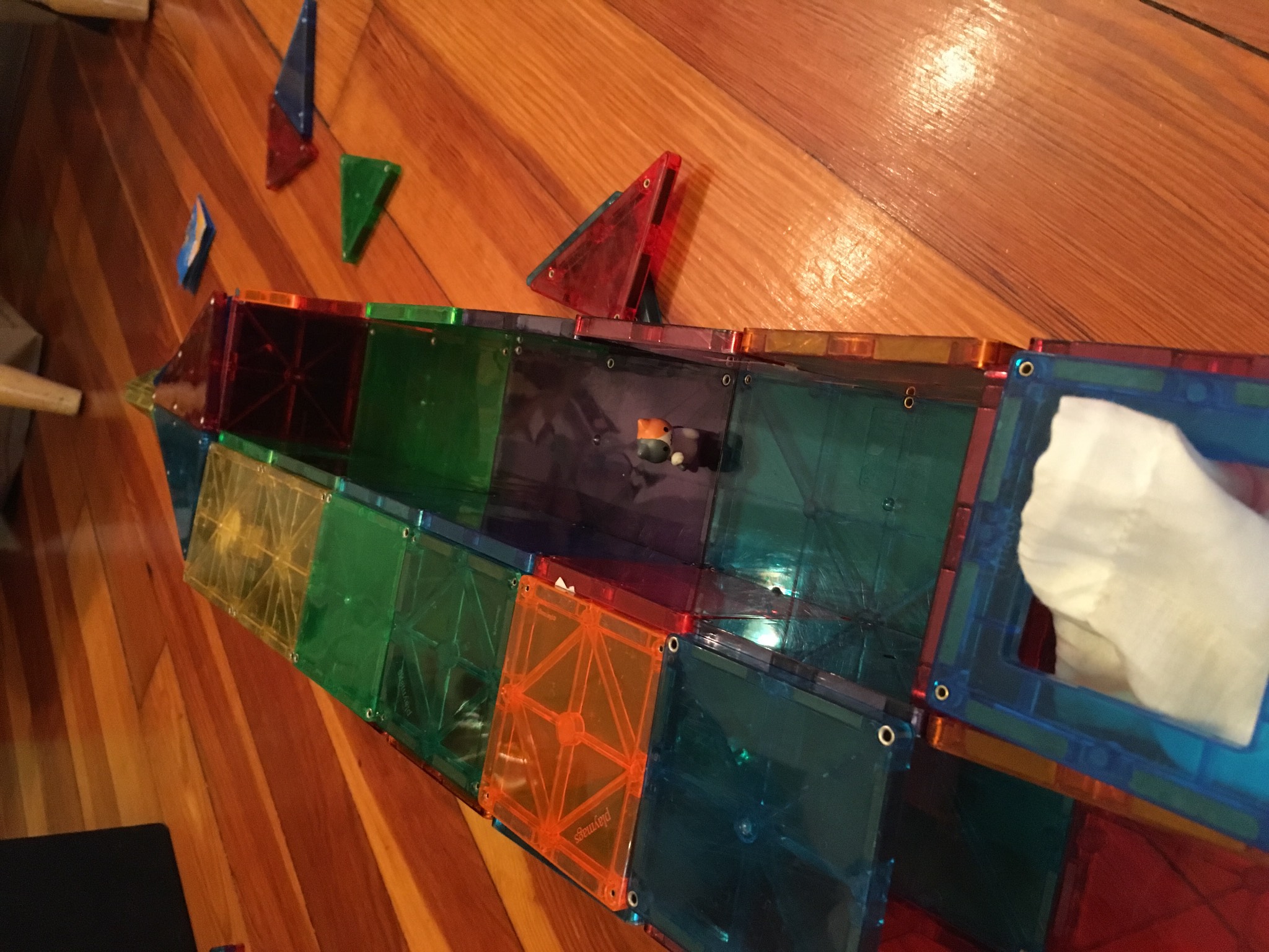Cat headed into deep space