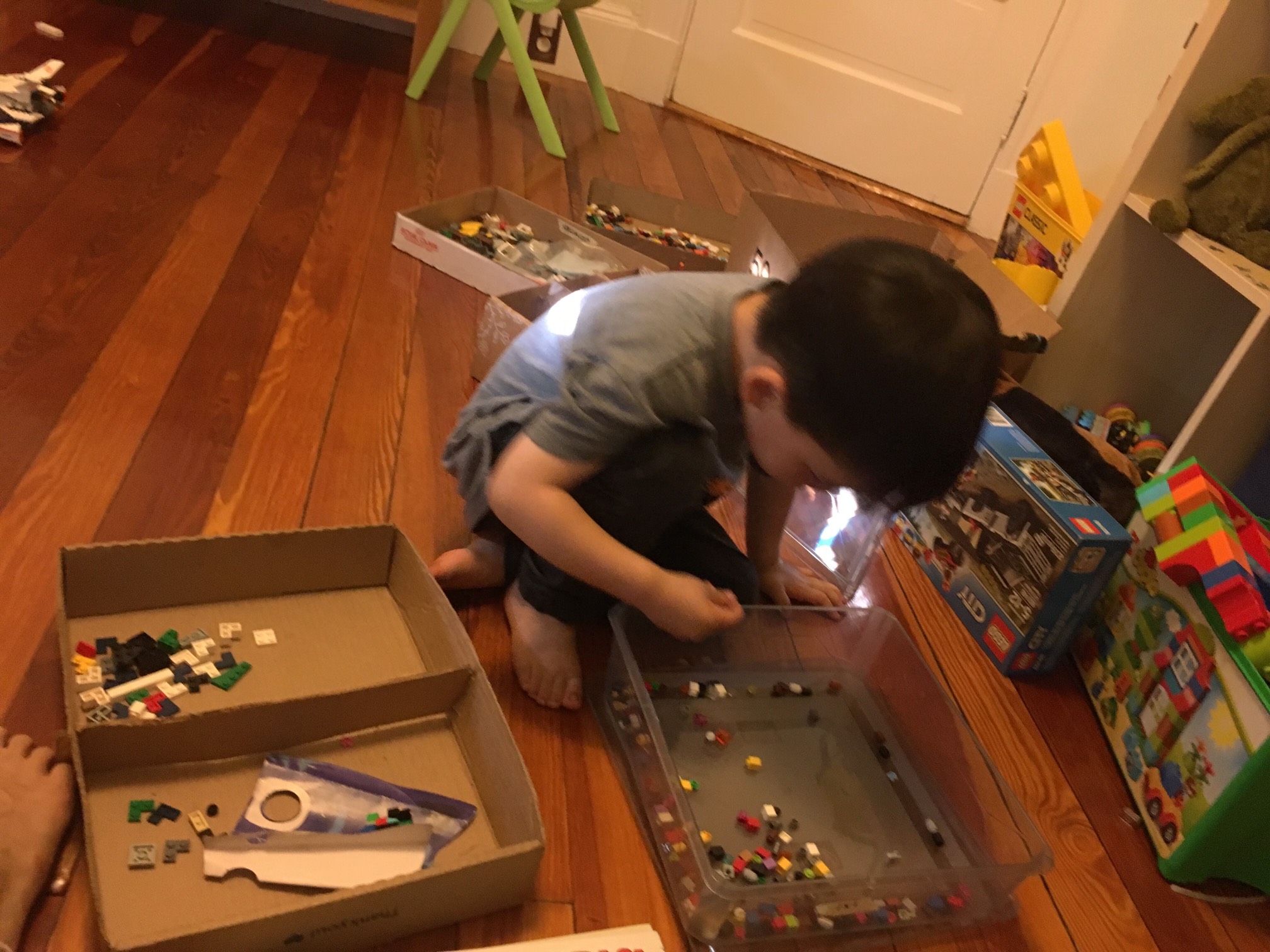 It's not the greatest organizational system of all time, but sorting the Legos by shape, with crude 