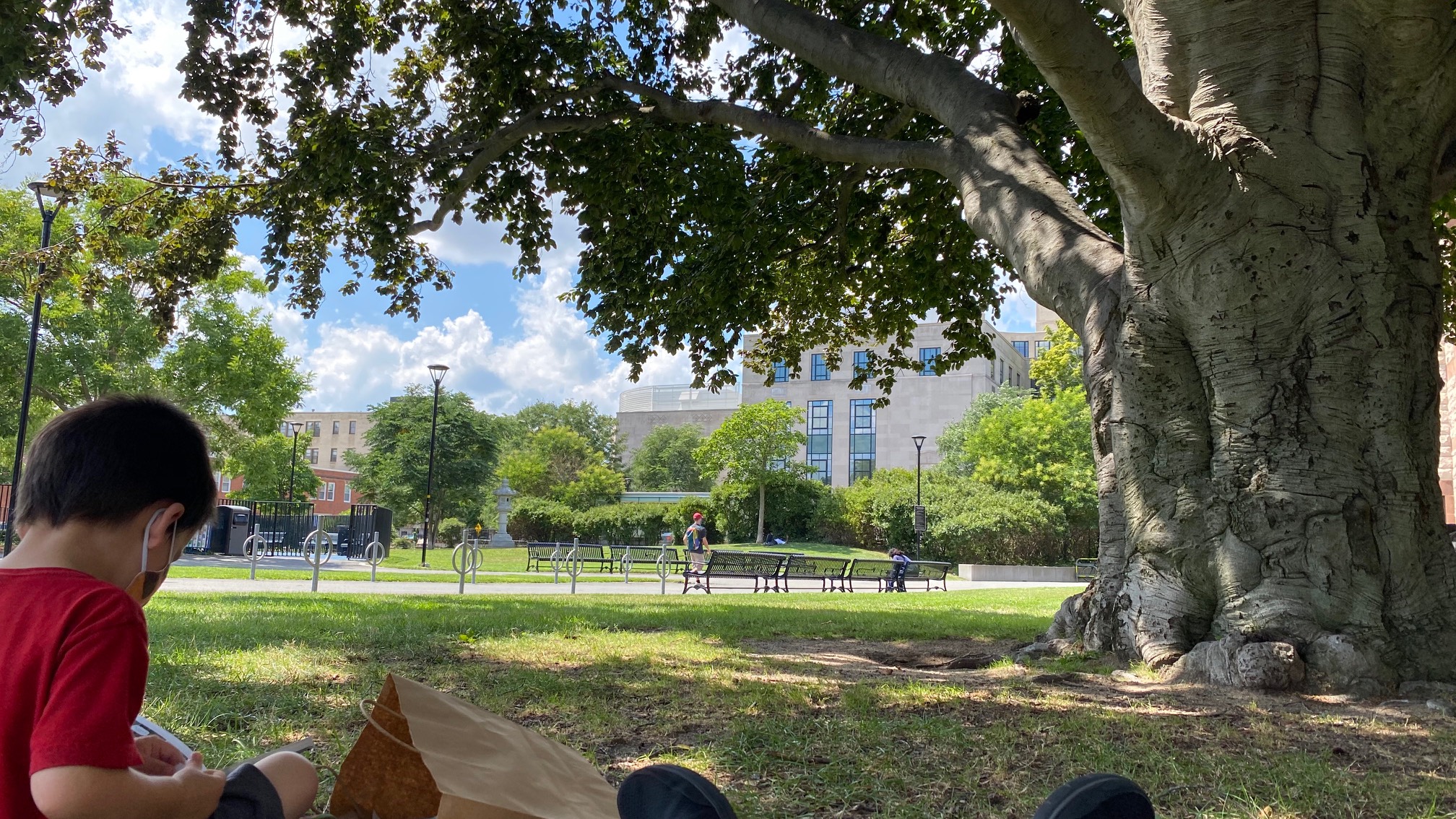 It’s not too bad in the shade, with a breeze. Not a bad day to sit under a tree with some new librar
