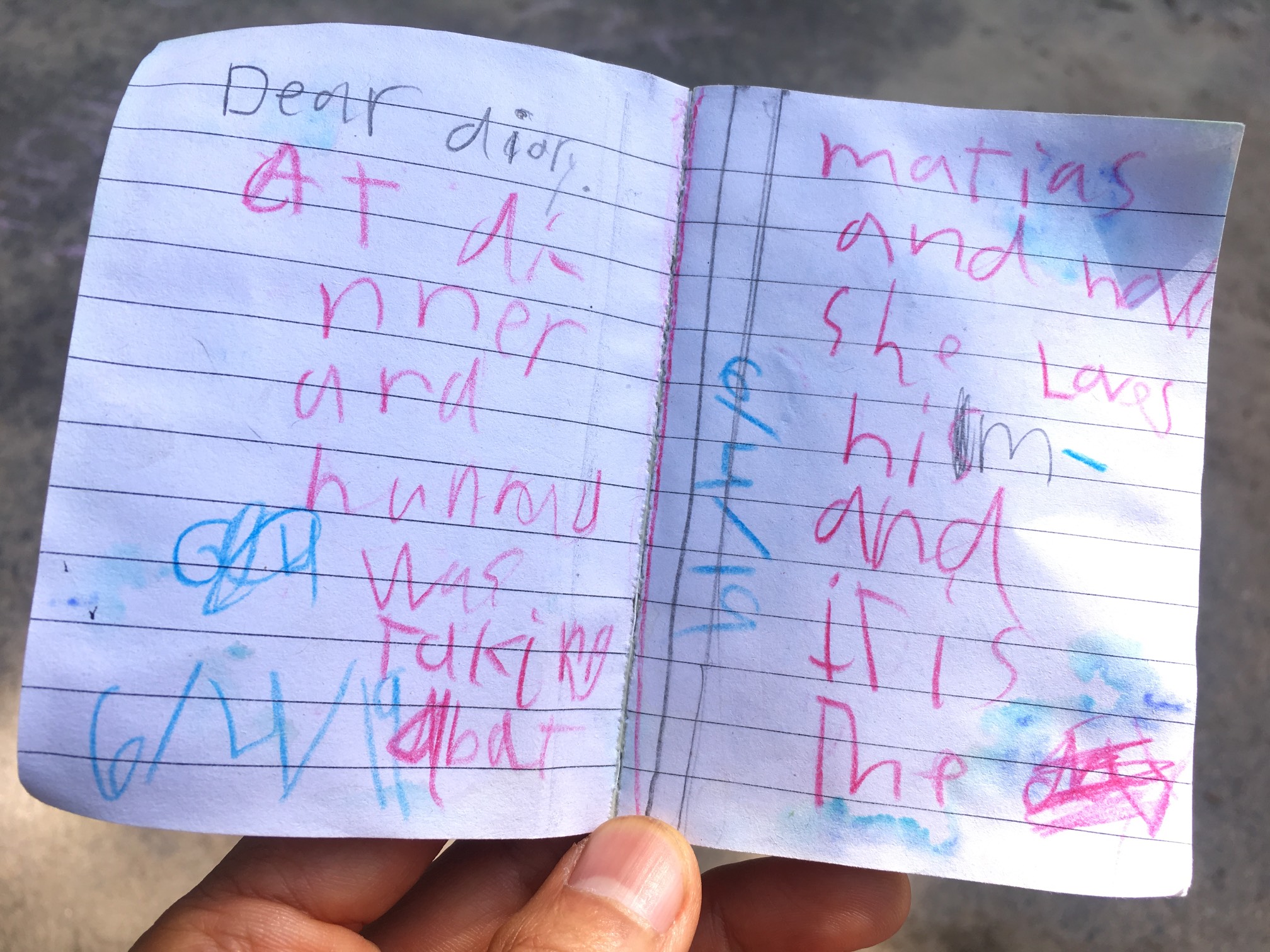Found a cool diary