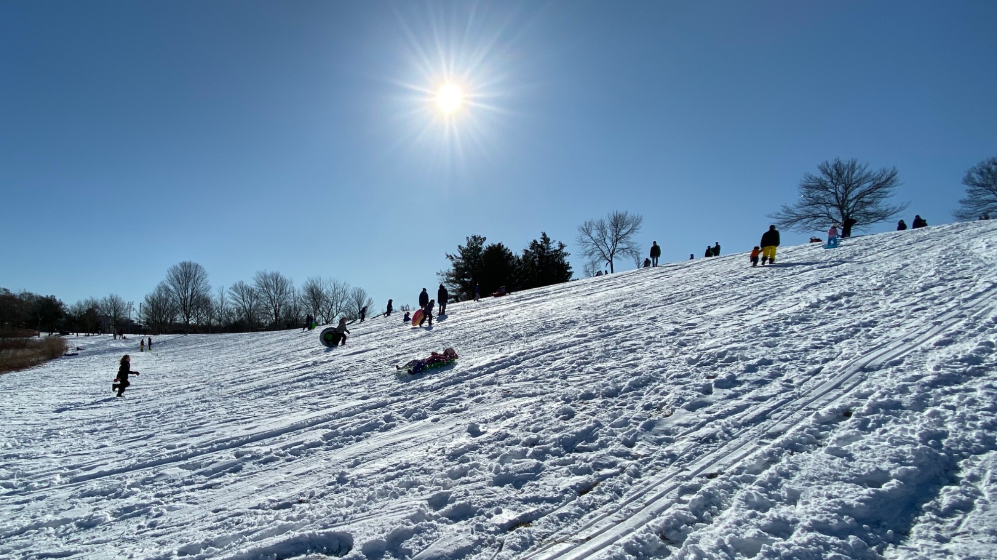 Lots of people were out sledding today. I made an error in judgment about how melted the reedy areas