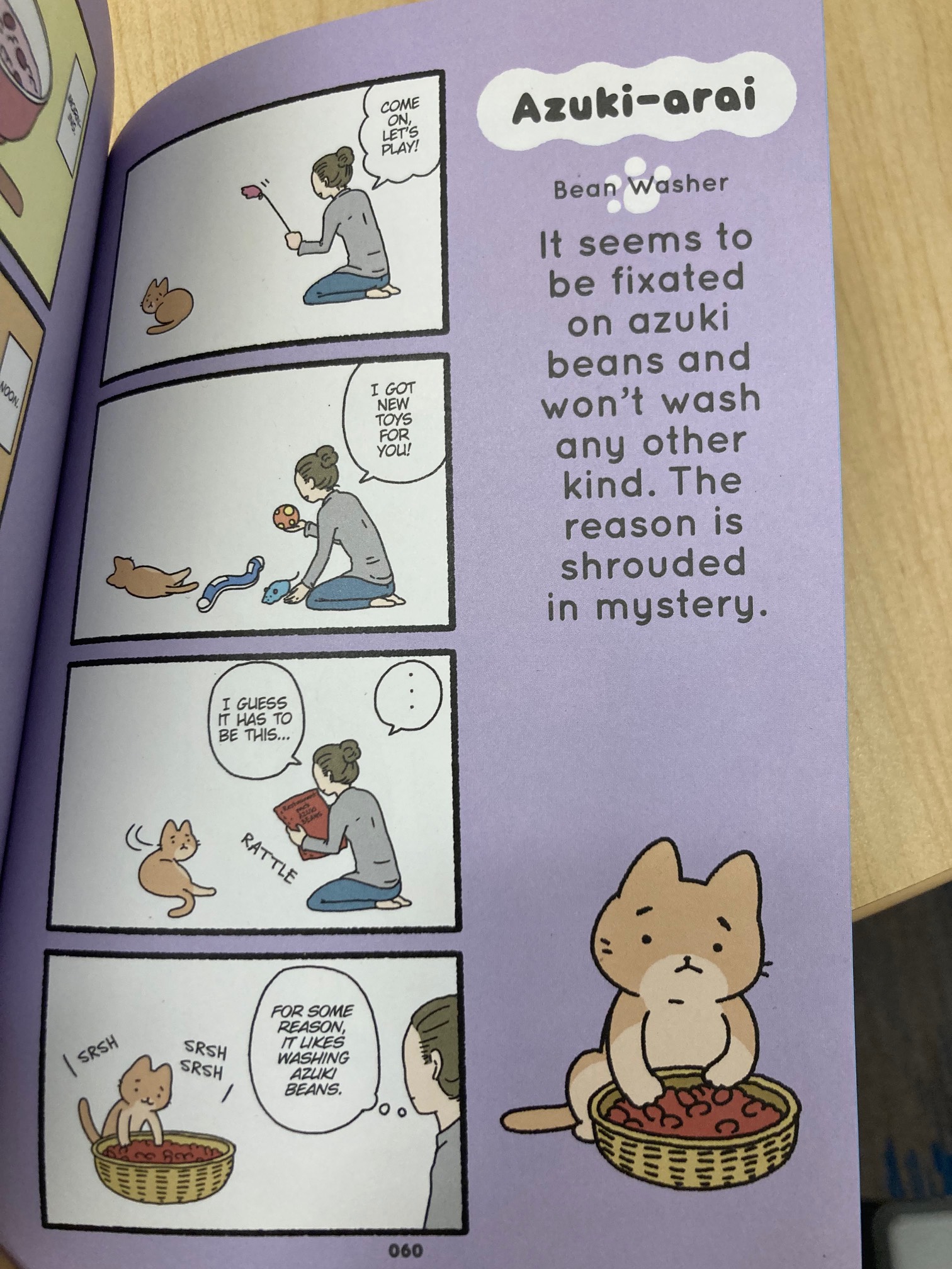 Comic about a cat that likes to wash beans