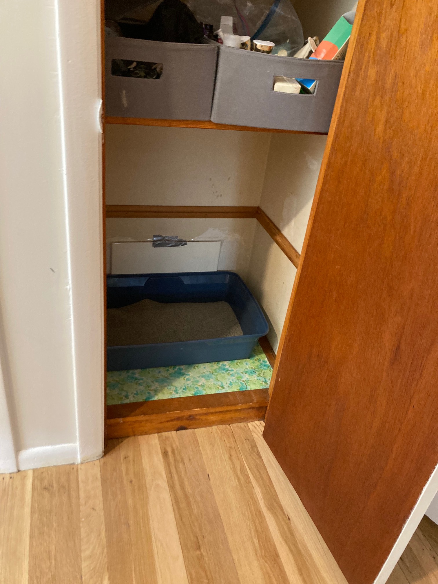I set up this litter box in the closet ten minutes ago, and it already got used! The idea is to even