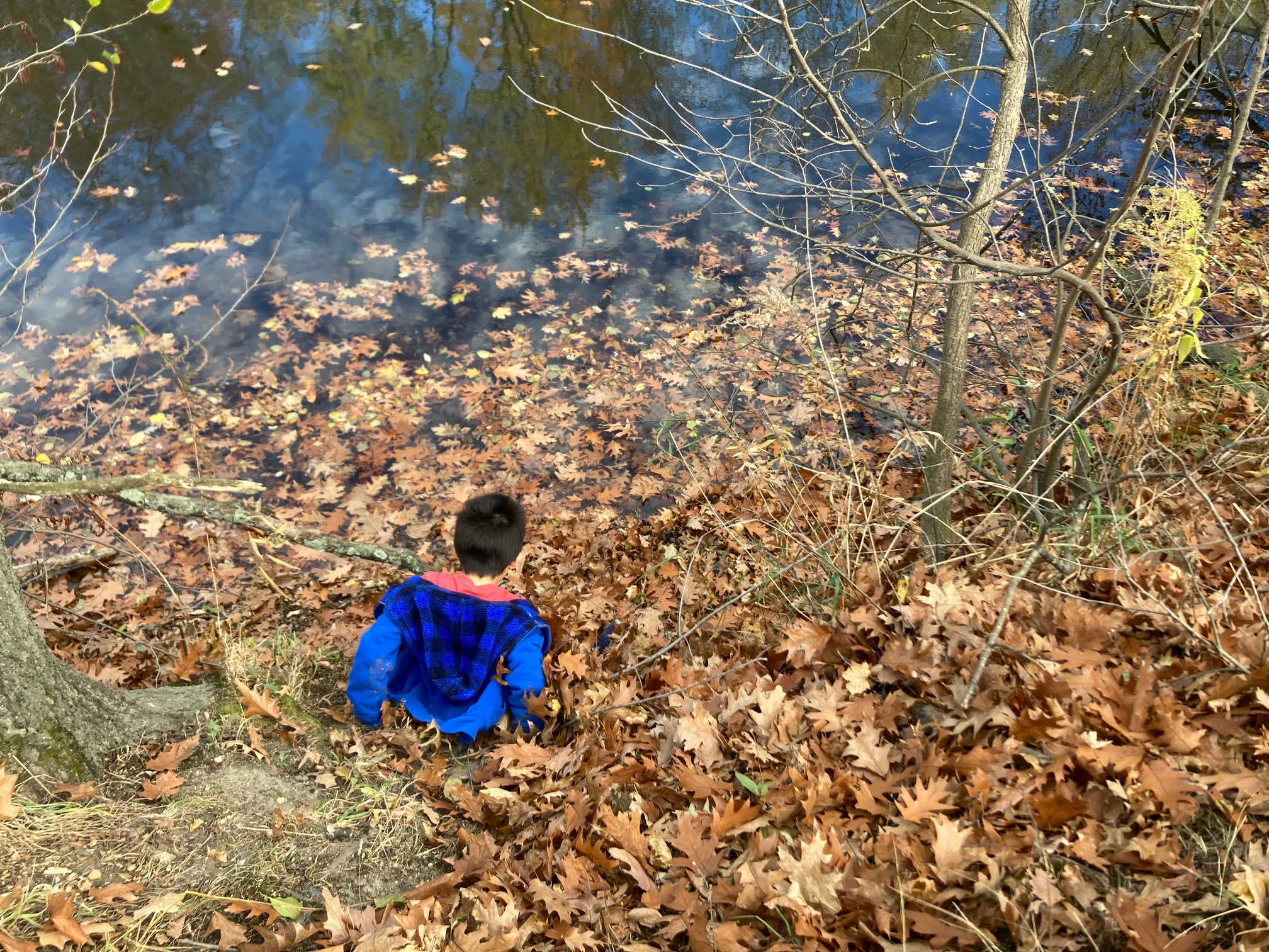 Kid near river shore covered by leaves
