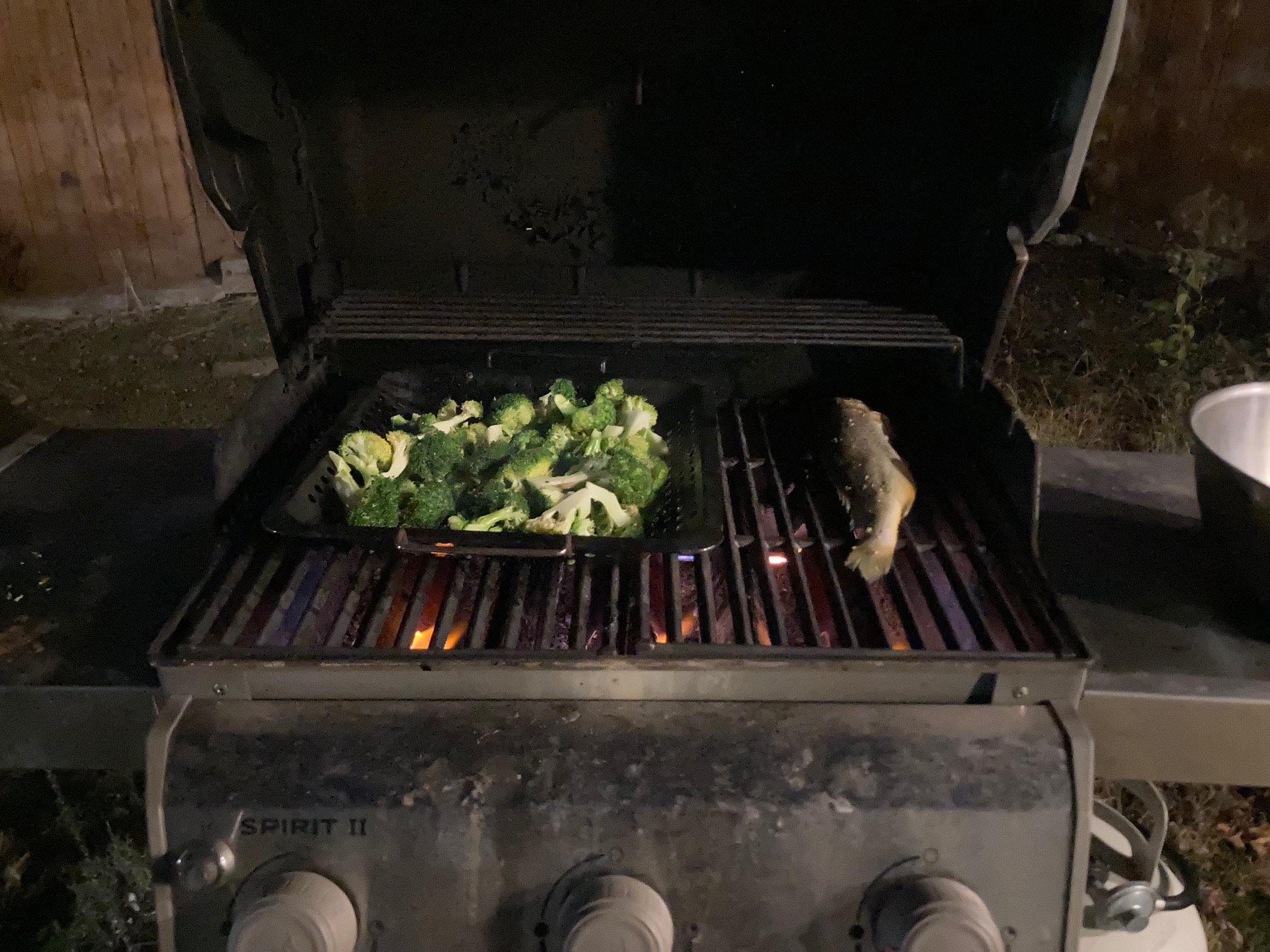 Grill with broccoli and fish