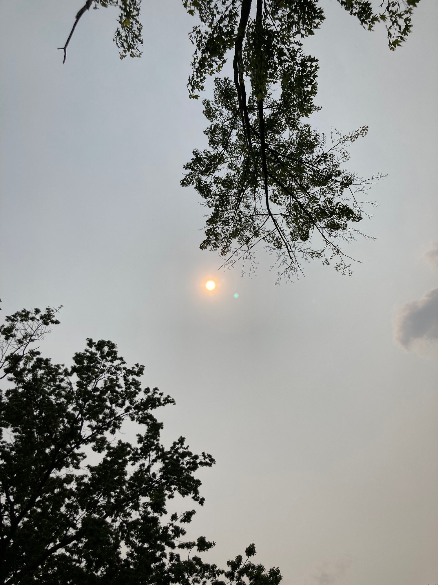 Again, very weird sun for 2 PM.