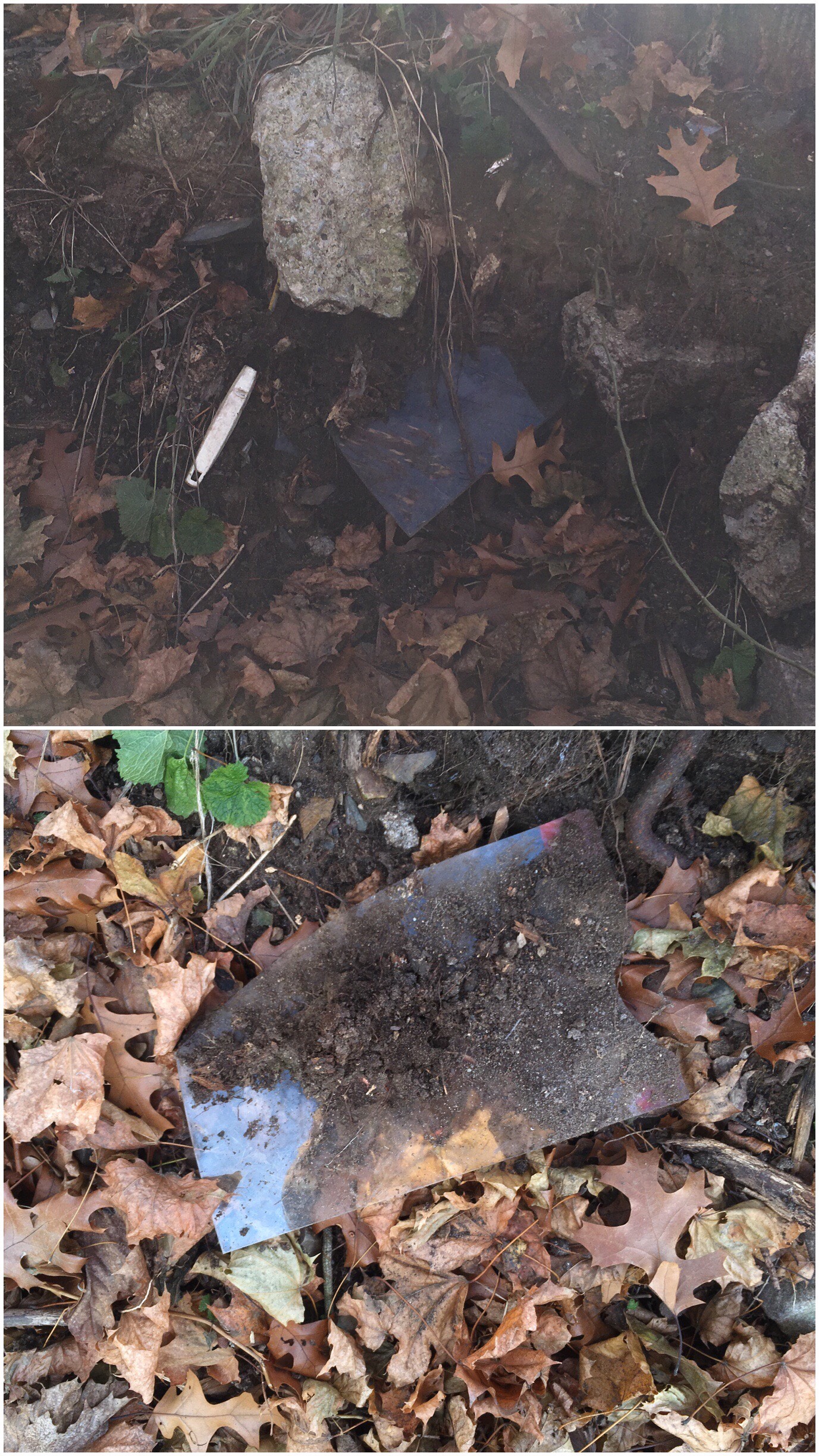 I saw these shards of glass sticking out of the side of the hill. I don't know what they were or why