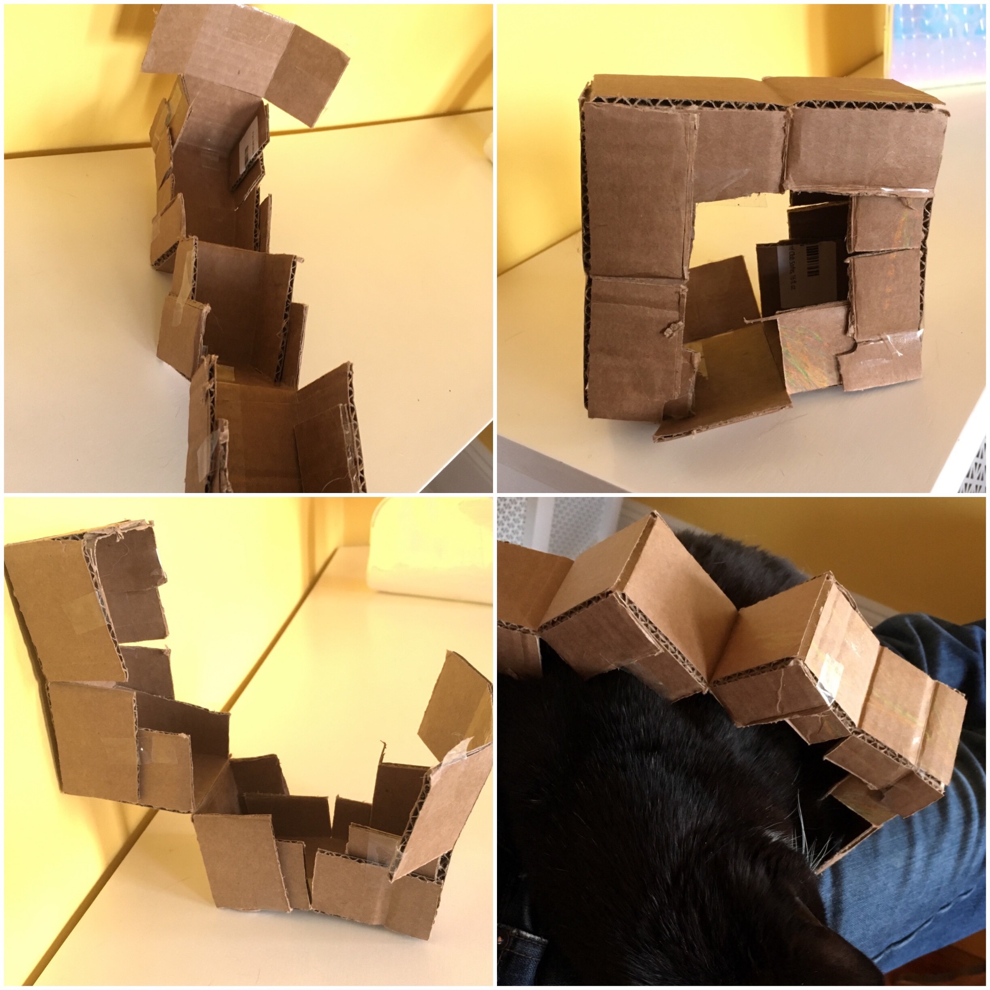 I have to say, I'm amused by cardboard lately.