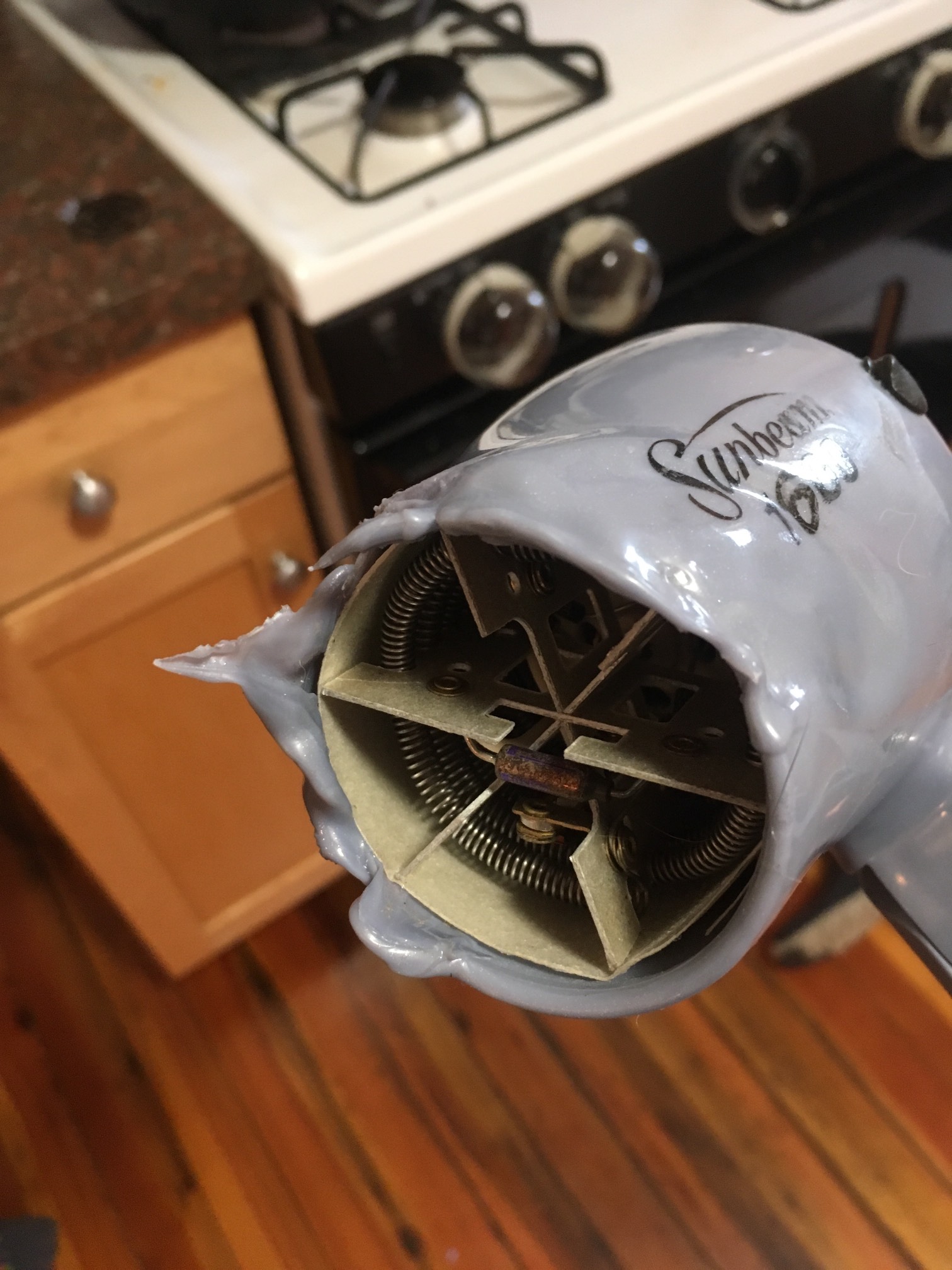 Re: precious shoe drying move: Shoes dried, but hair dryer died.