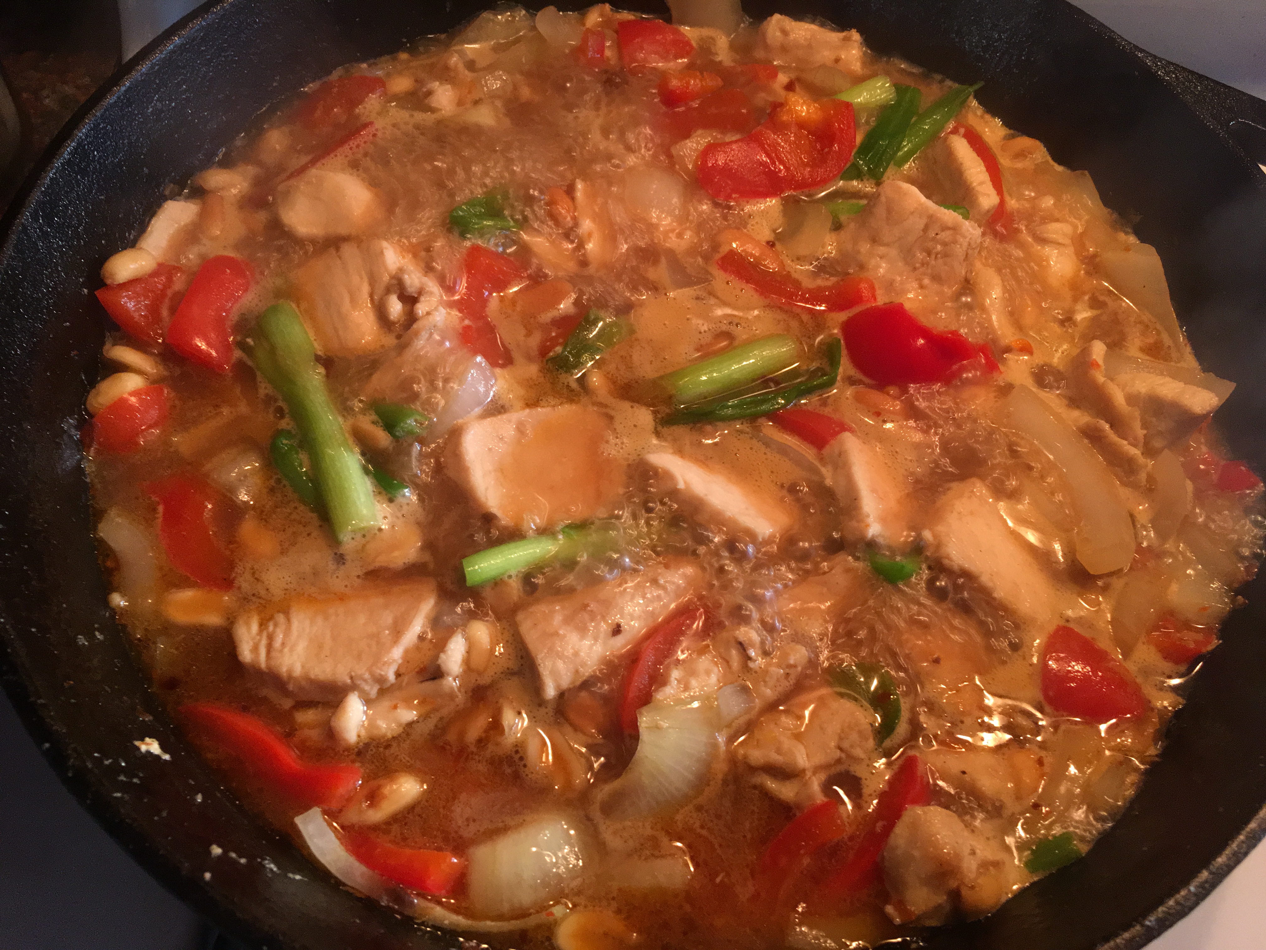 Chicken and scallions in.