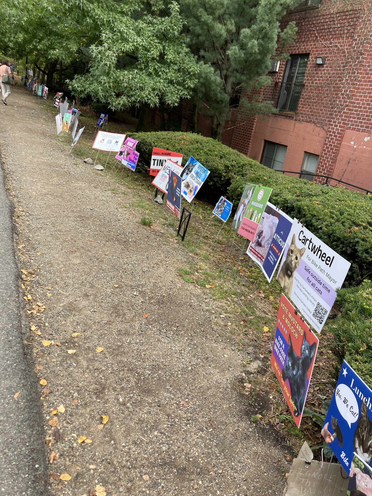 Signs with cats on them