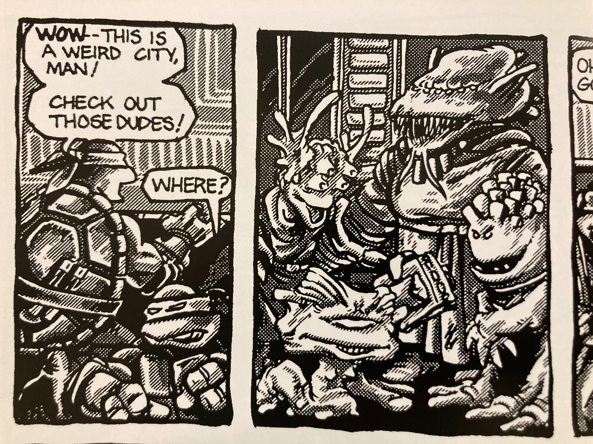 Turtles saying “WOW -THIS IS A WEIRD CITY, MAN/ CHECK OUT THOSE DUDES!” “WHERE?” then the next panel showing very weird dudes