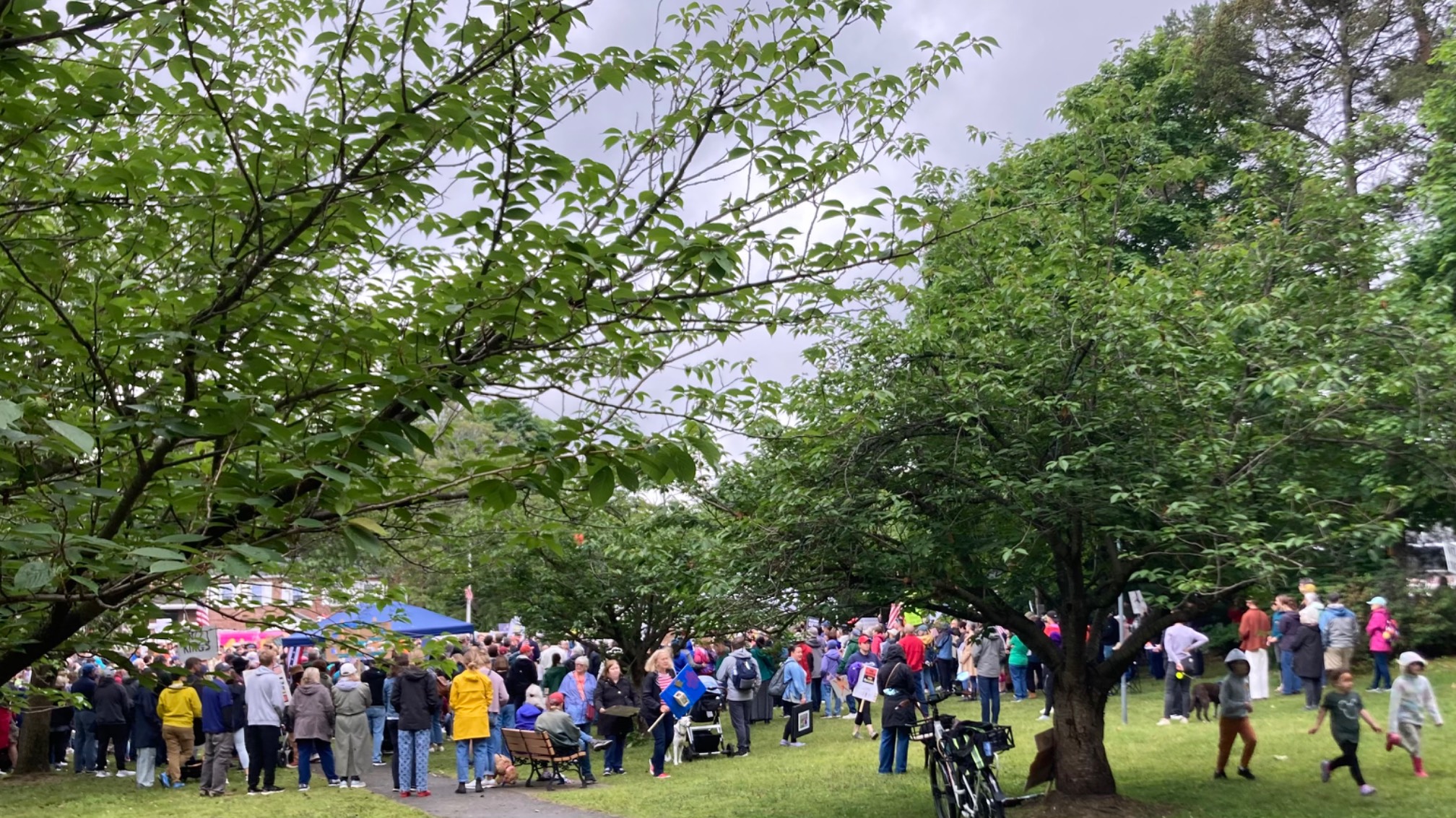 Protestors among trees