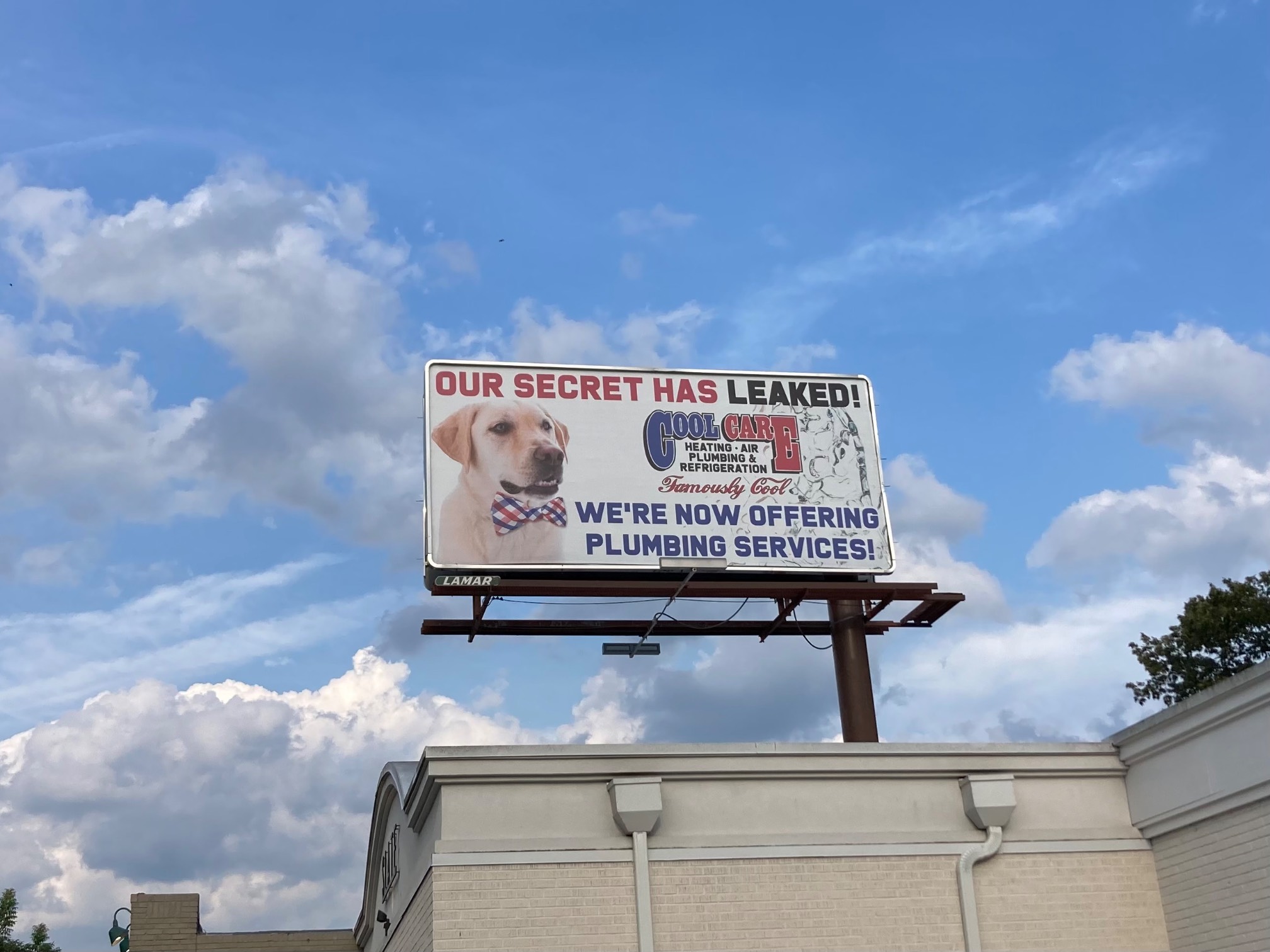 Dog plumbing why not