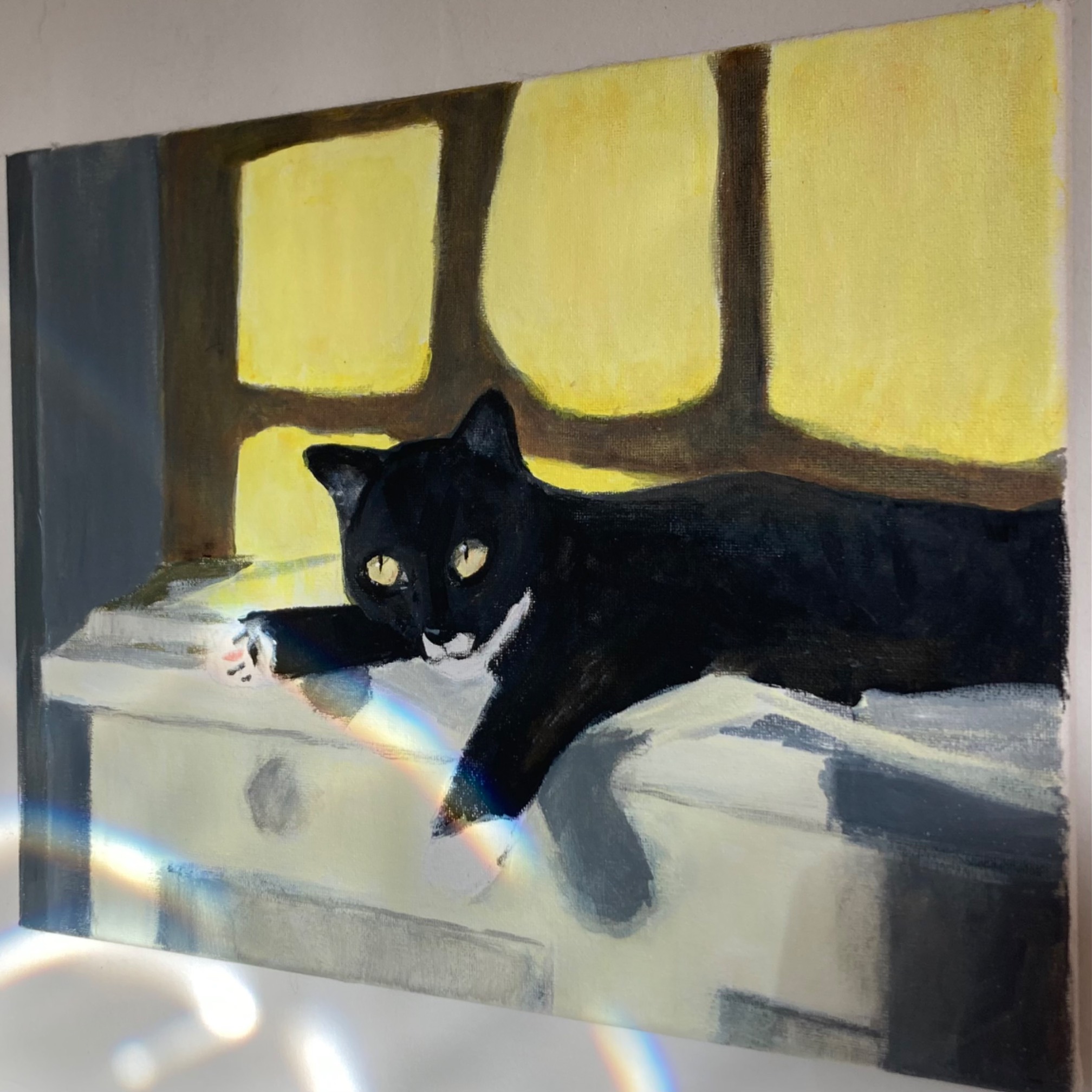 Rainbow on cat painting