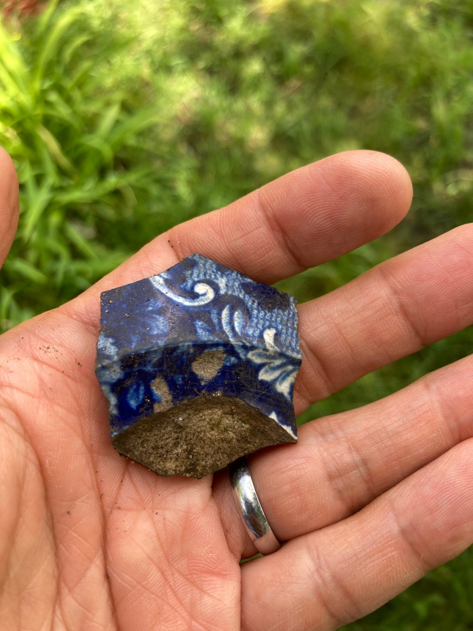 A lot of debris somehow gets in our yard, but a shard of elaborating ceramics is a first.