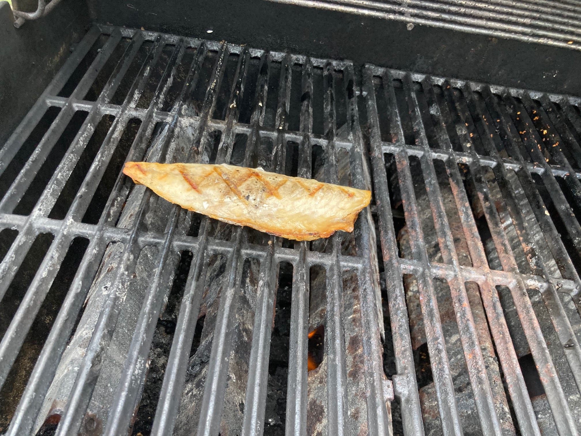 Fish on grill