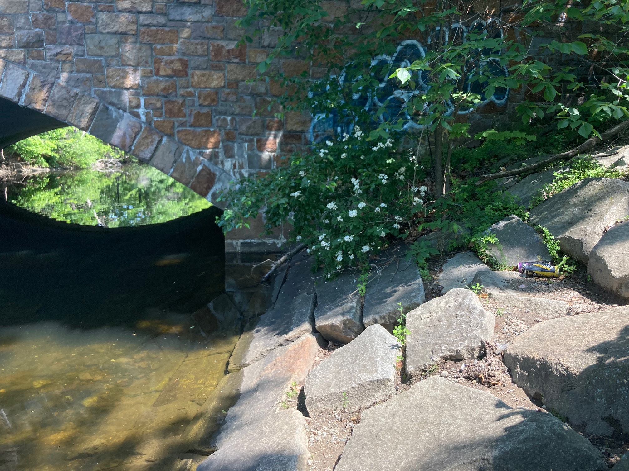 Some people enjoyed some cans of lemonade by the bridge. I hope it was a nice time!