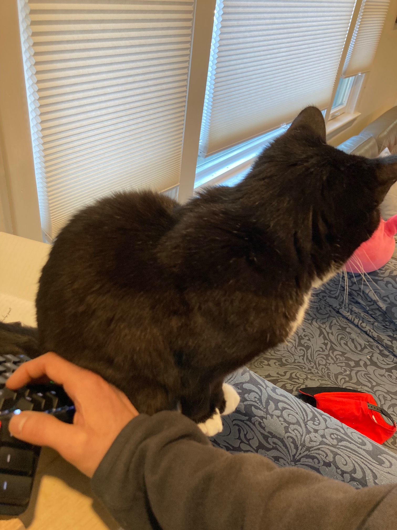 I guess one advantage of a flat keyboard is that this wouldn’t stop up my typing.
