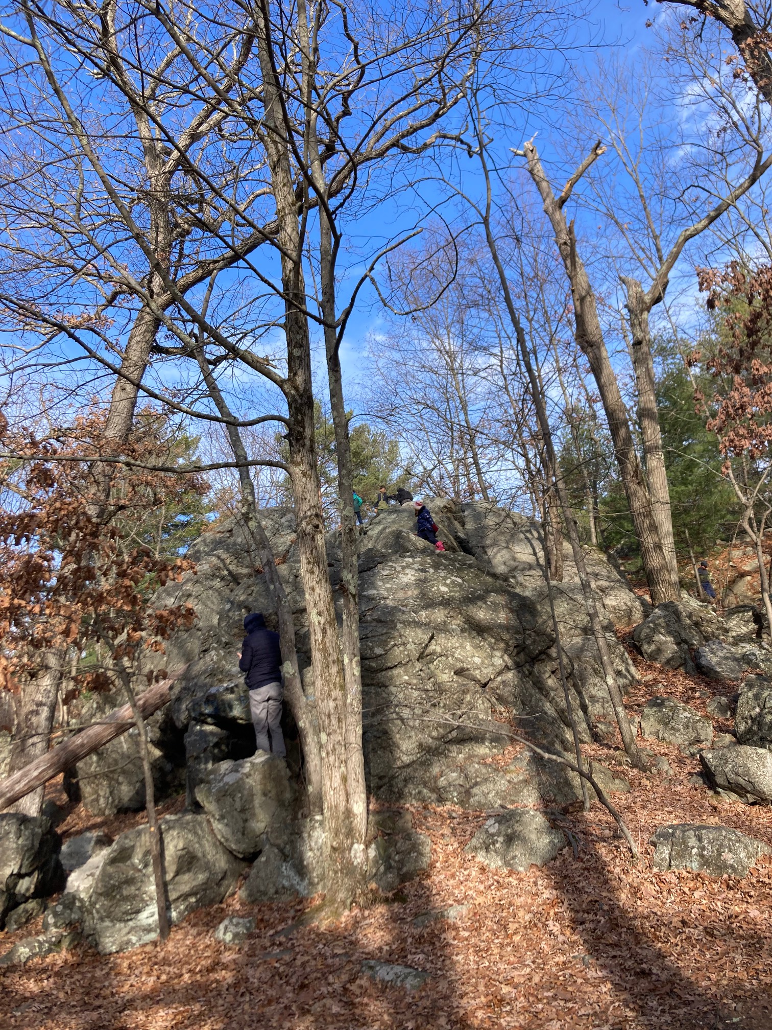 Kids climbing a large rock